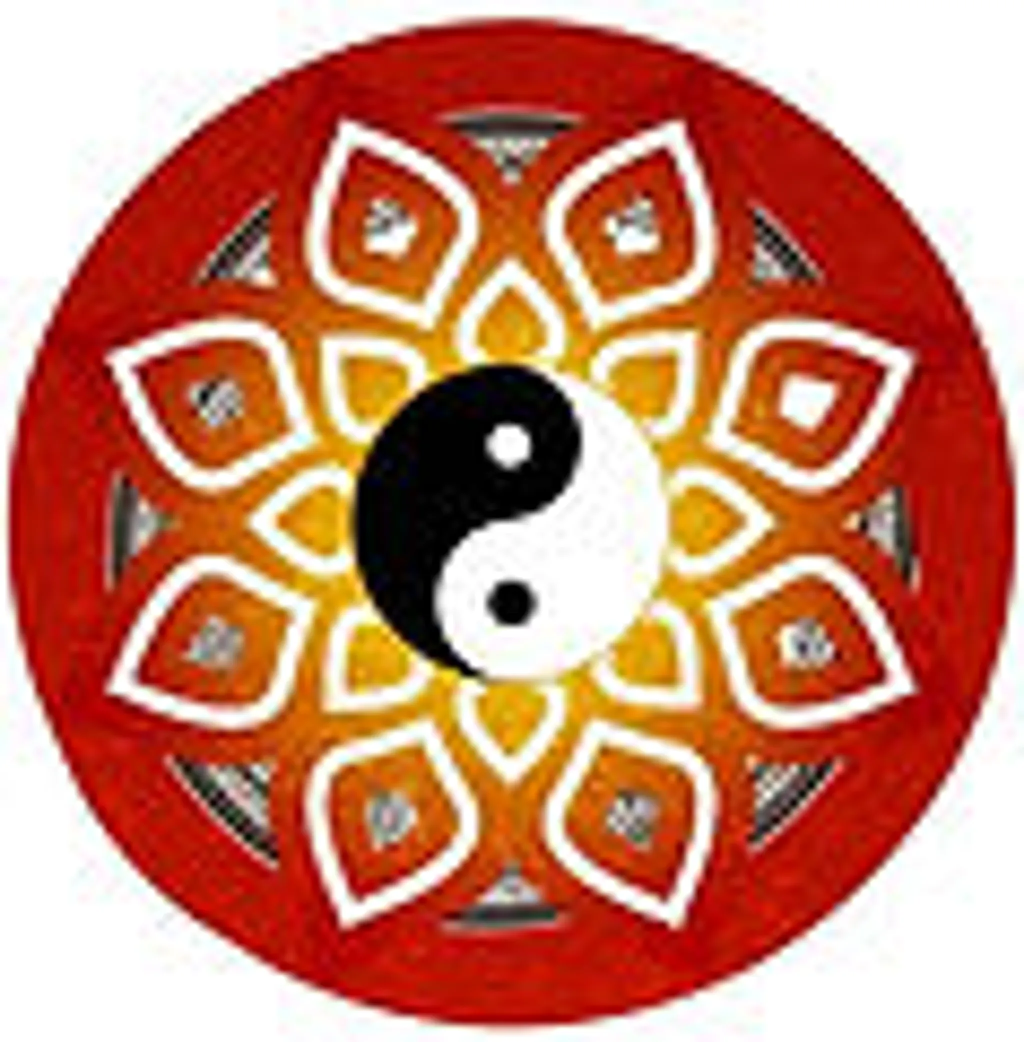 The Chi Field Qigong