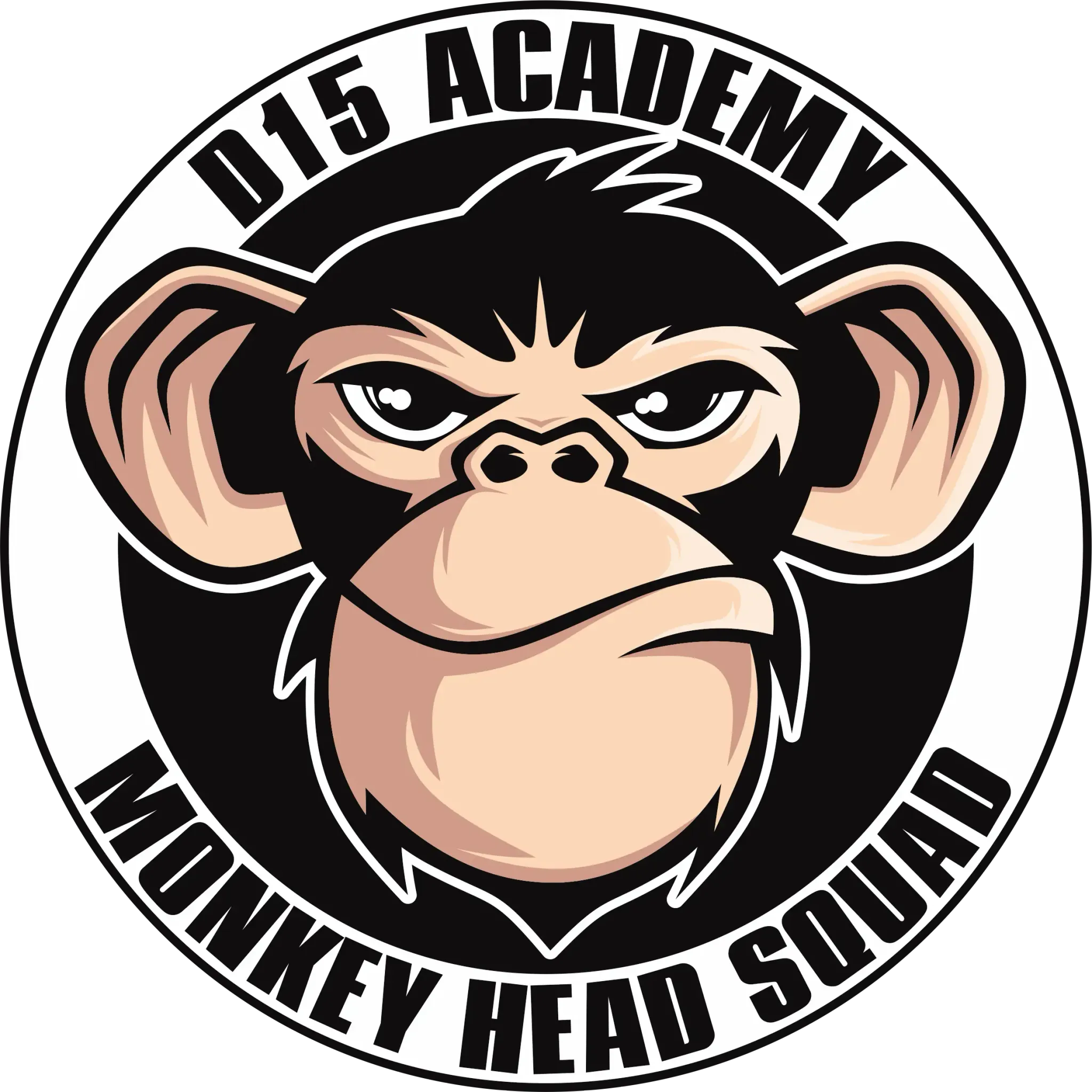 D15 Academy Brazilian Jiu Jitsu | The Martial Arts School in Dublin