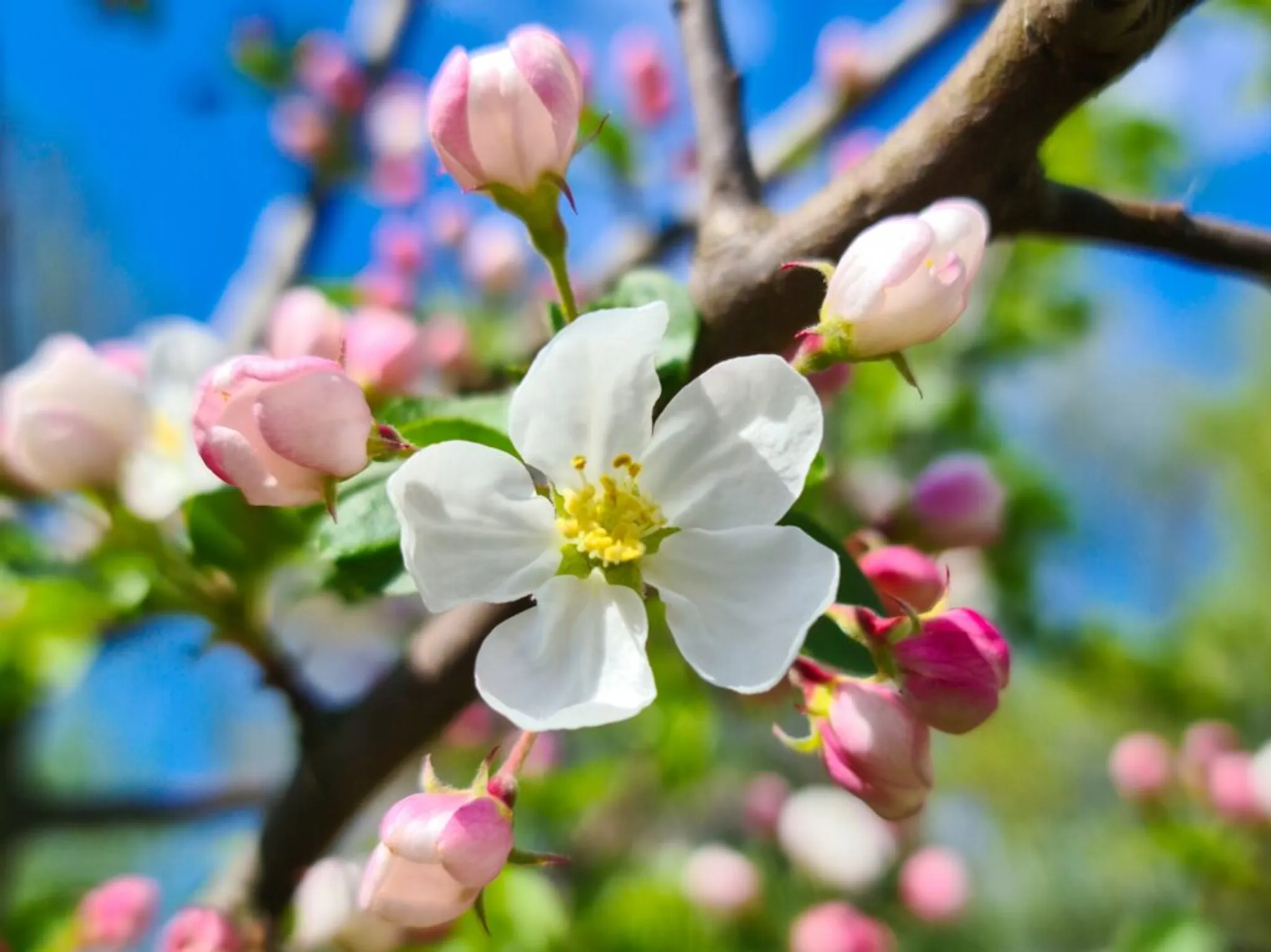 One-to-One Kundalini Yoga