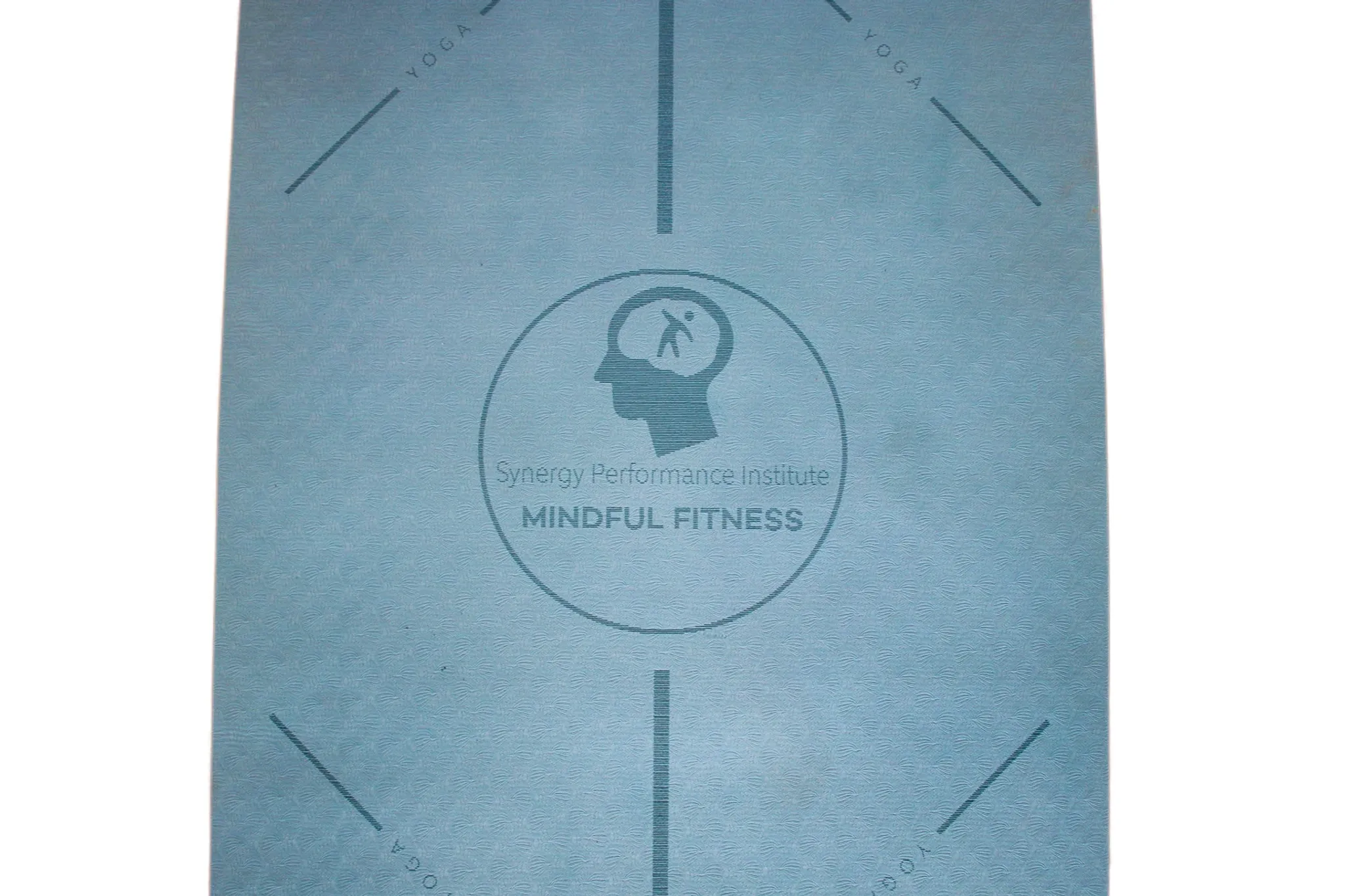 Synergy Performance Institute