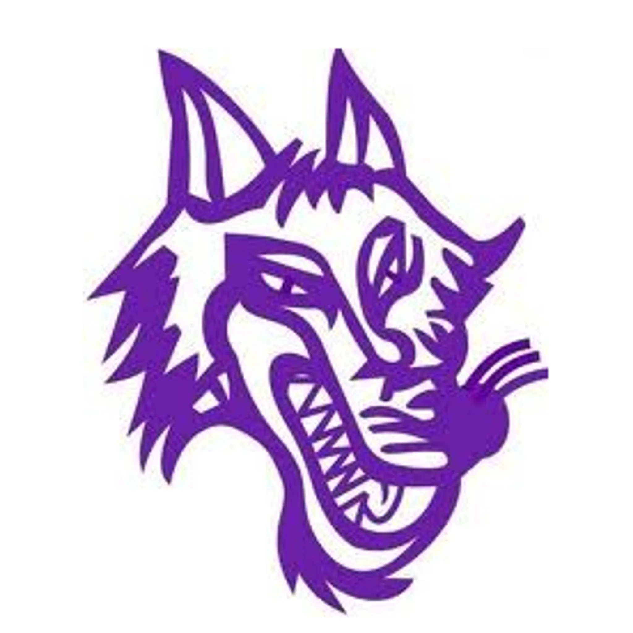 Doyalson Wyee Soccer Club