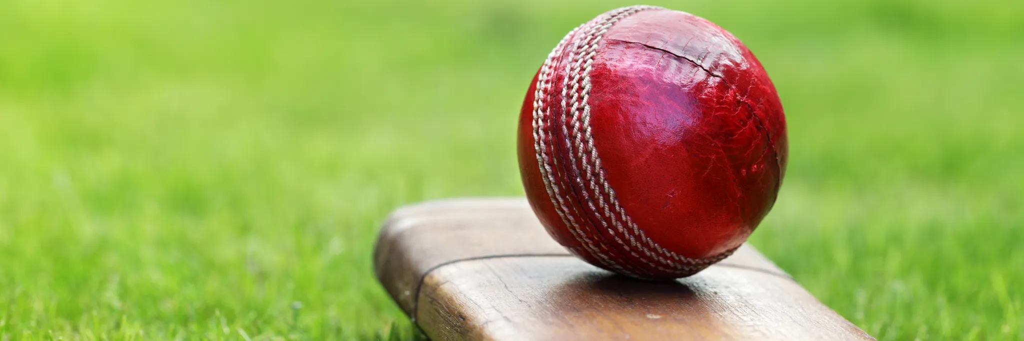 Leichhardt Wanderers Cricket Club