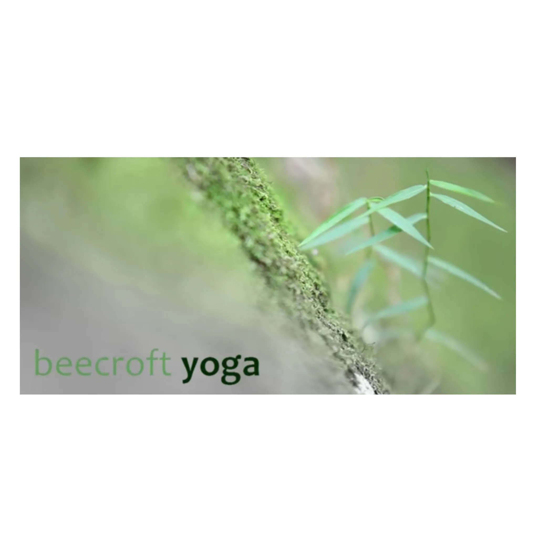 Beecroft Yoga