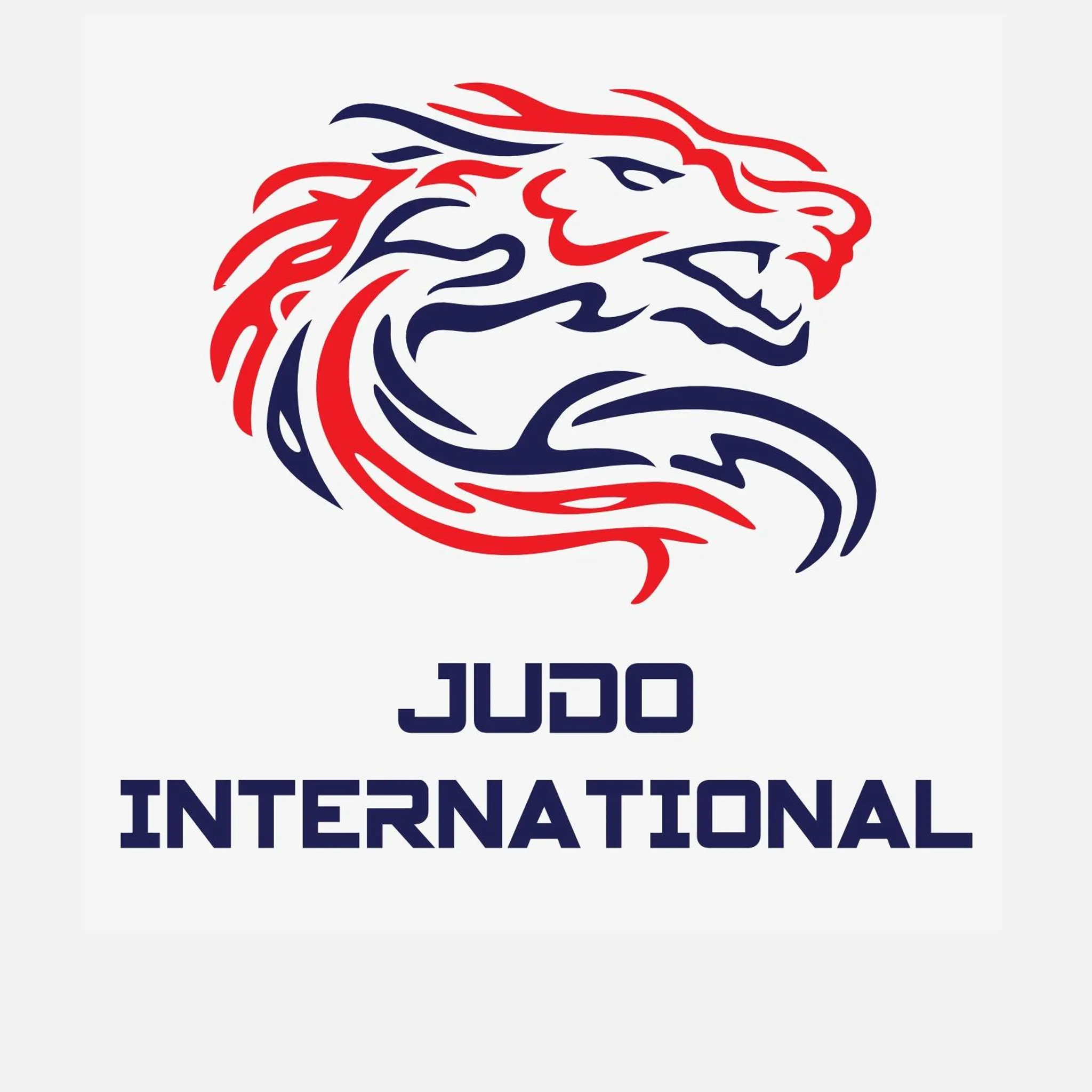 Judo International