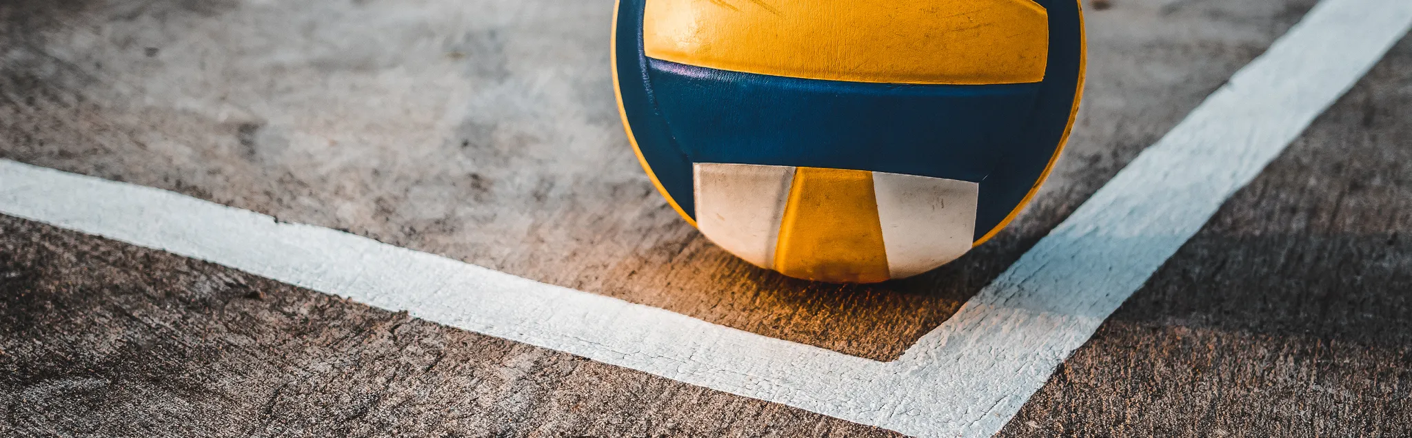 Sitting Volleyball banner