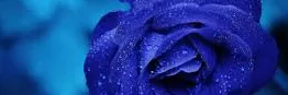 TestOrgn@@@minu