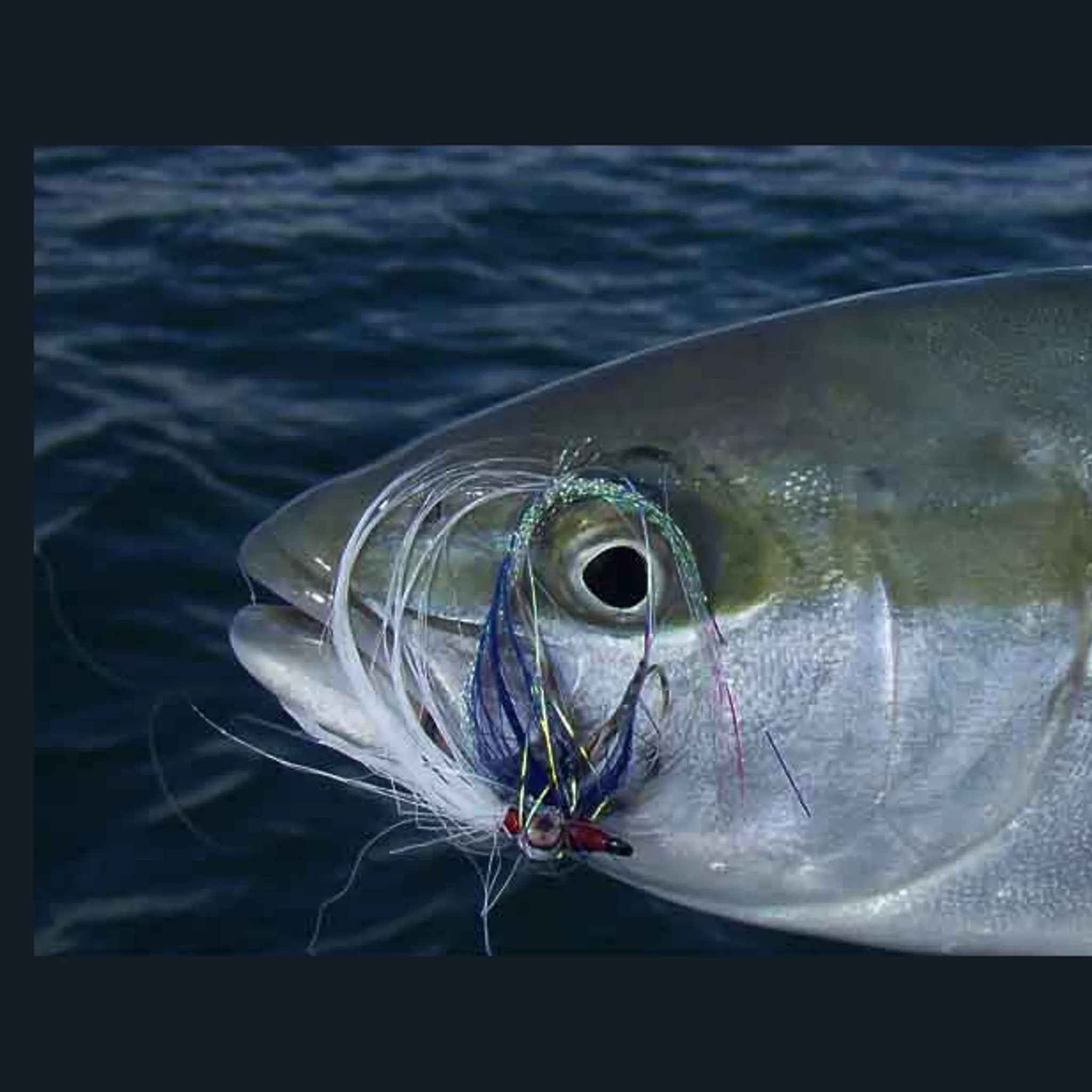 Frequent Fly Rodders