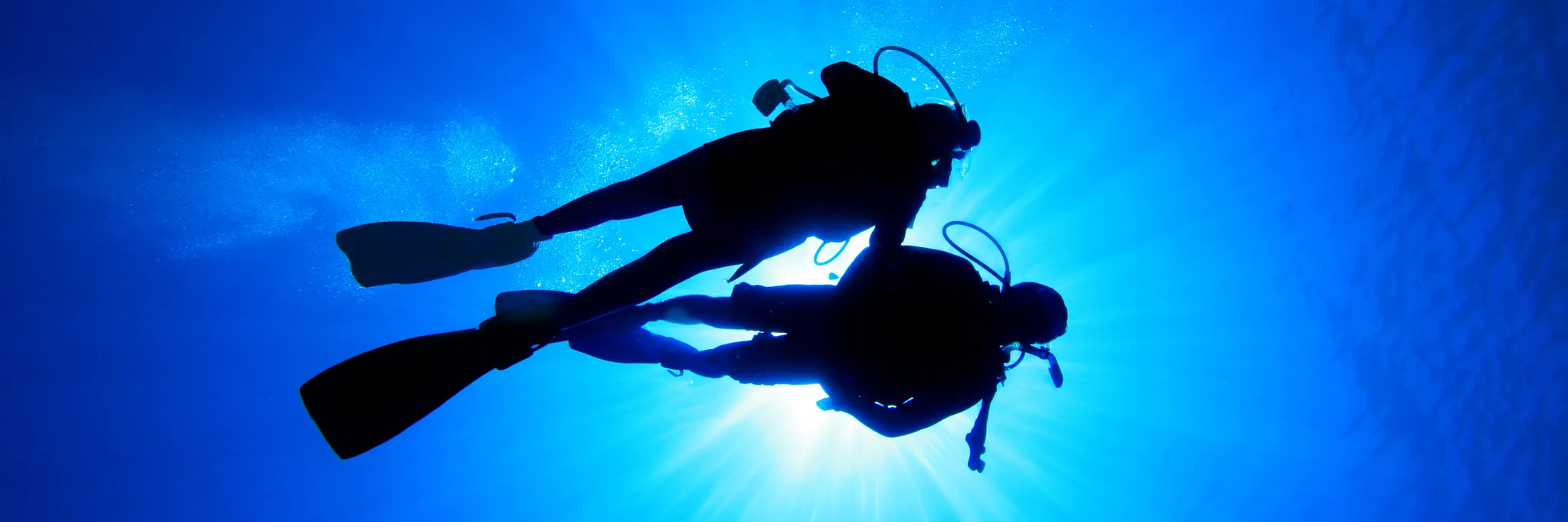 Open Water Diving Course Coogee
