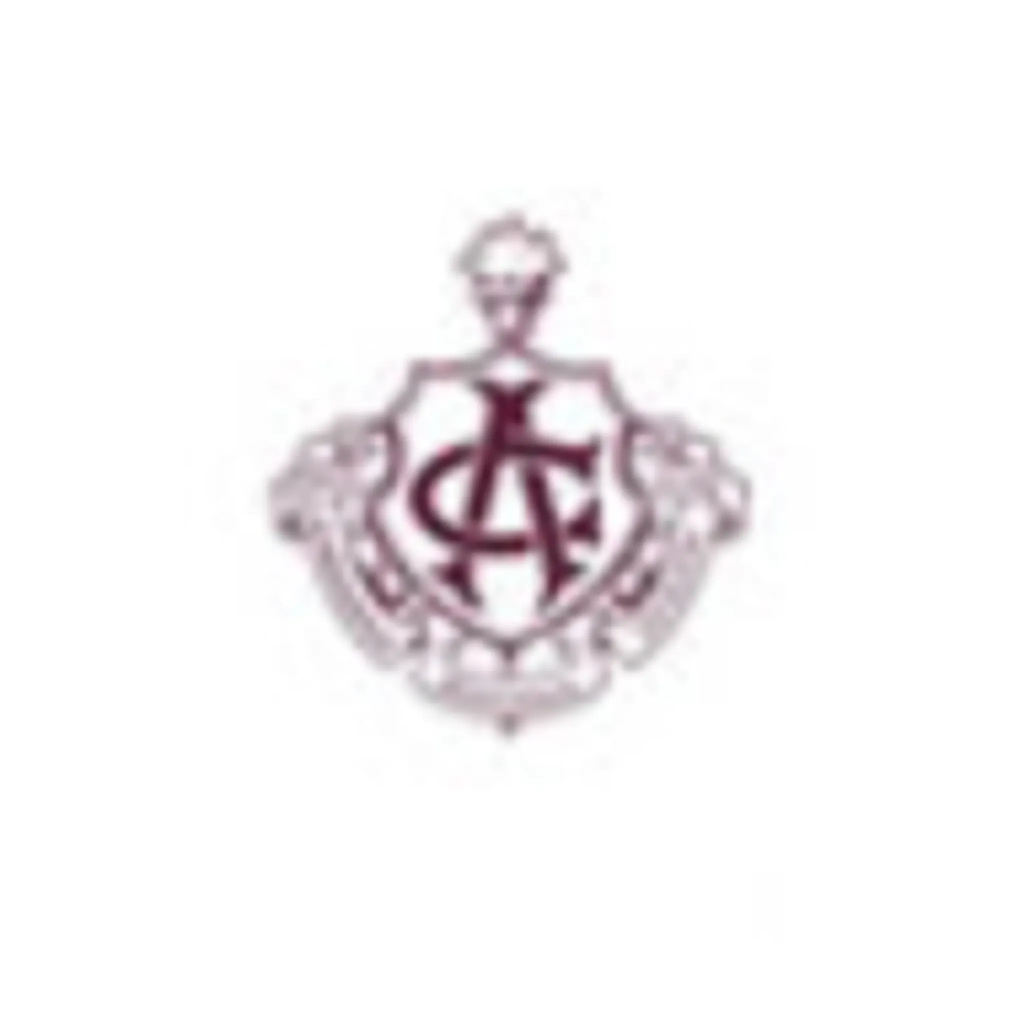 Annesley Old Scholars Hockey Club