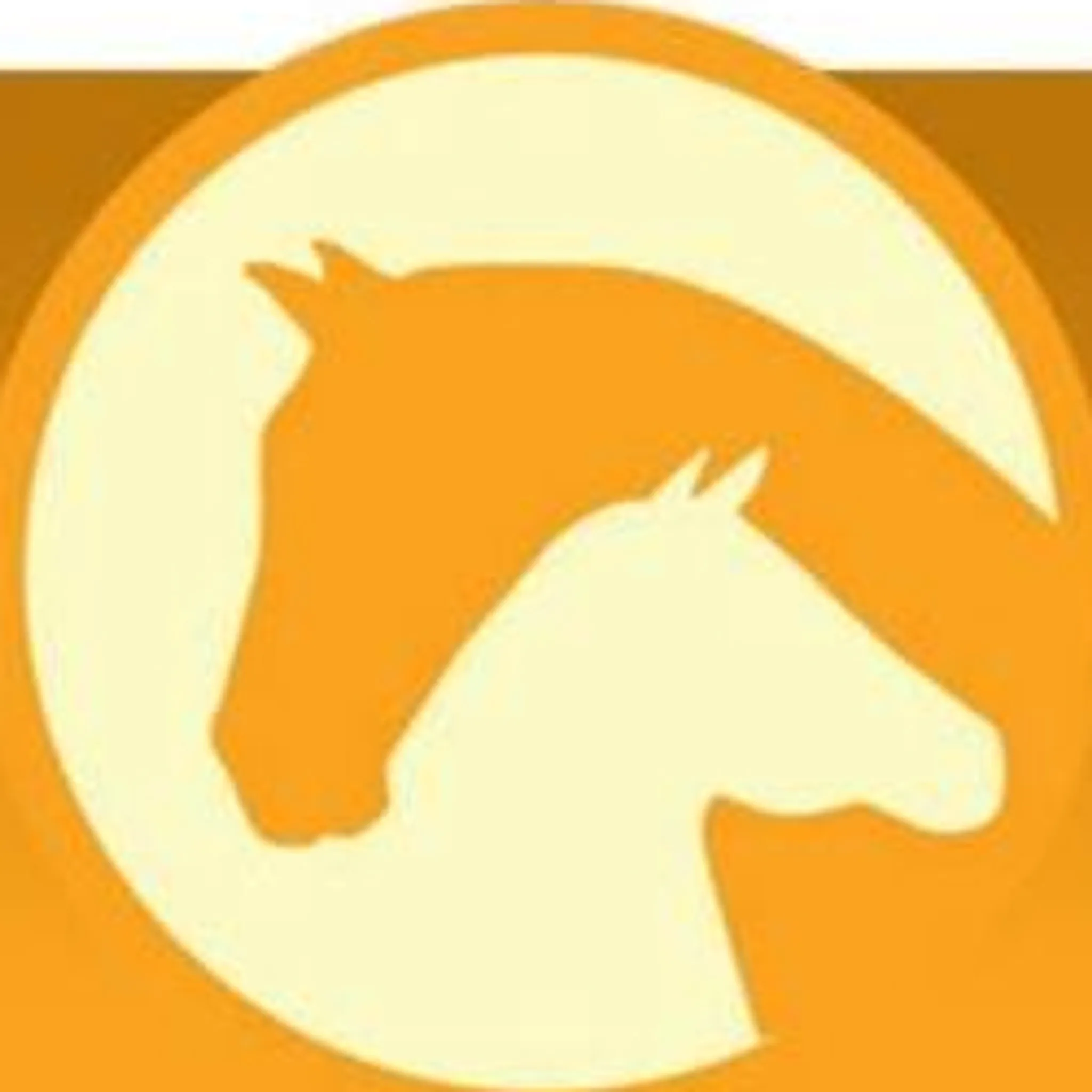 Bellarine Horse Riding Centre