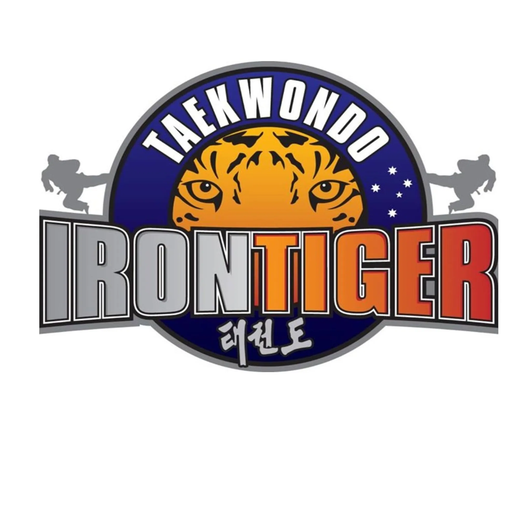 Irontiger Taekwondo