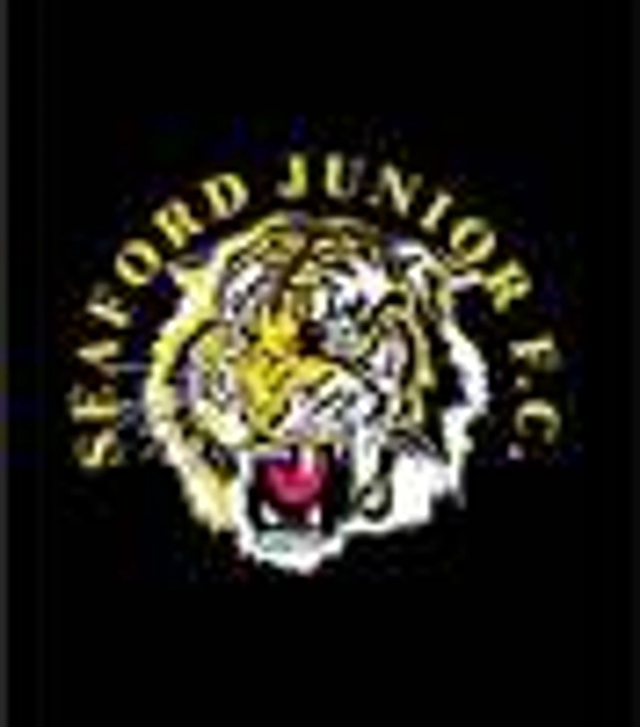 Seaford Junior Football Club