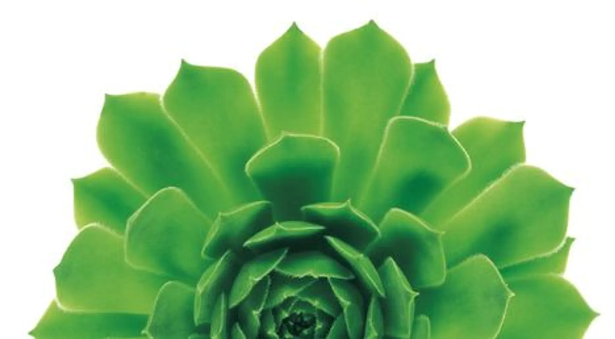 TELUS Health Care Centres - Personal Training