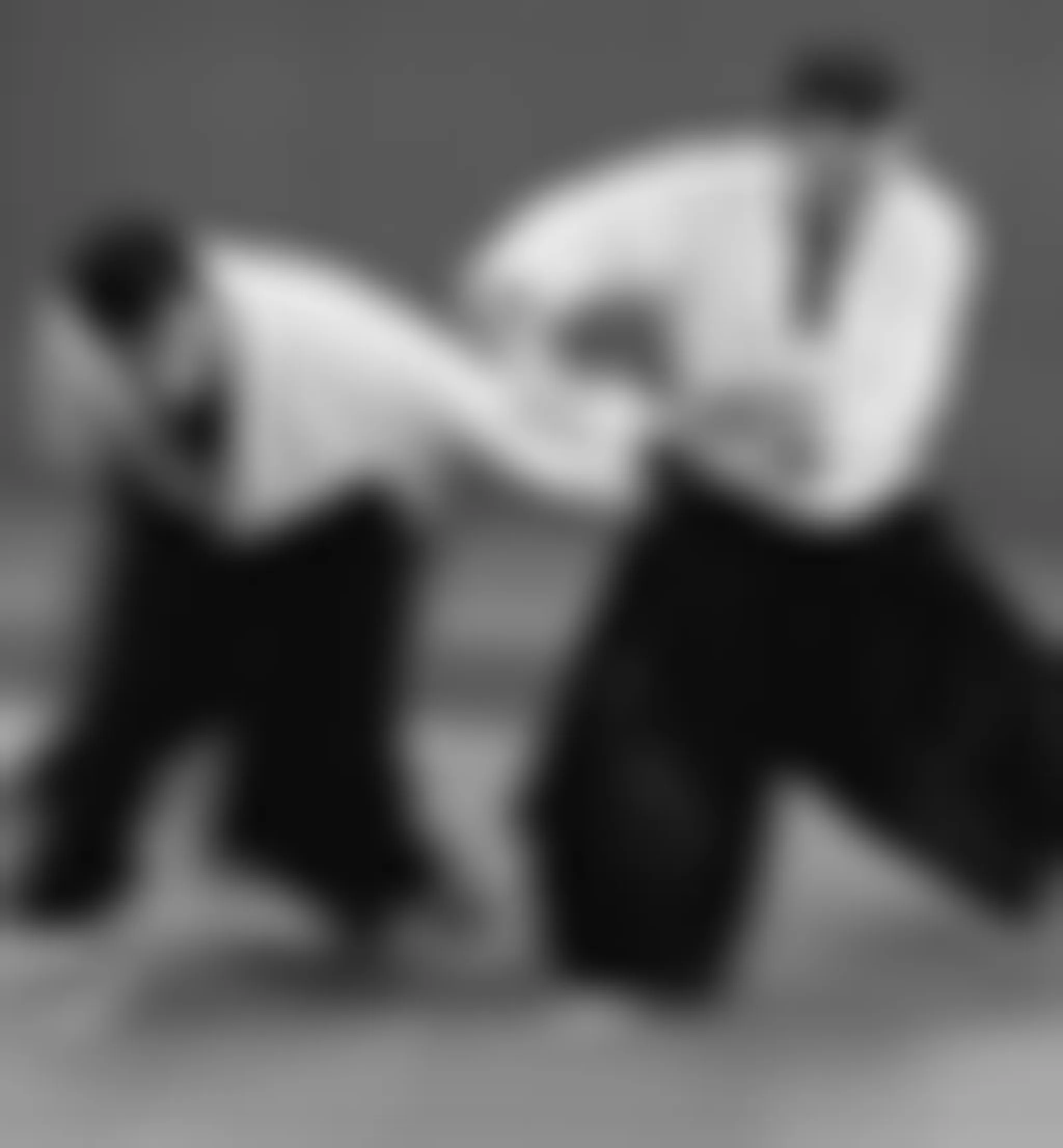Tatenhill Aikido Club