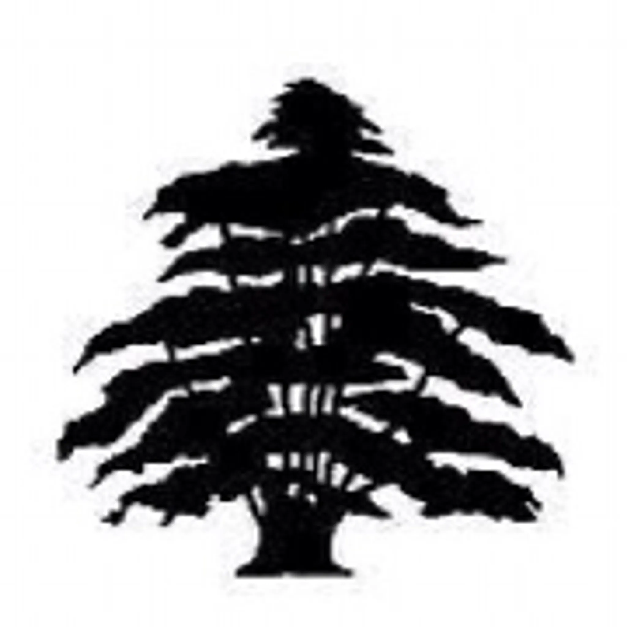 Whetstone Cricket Club