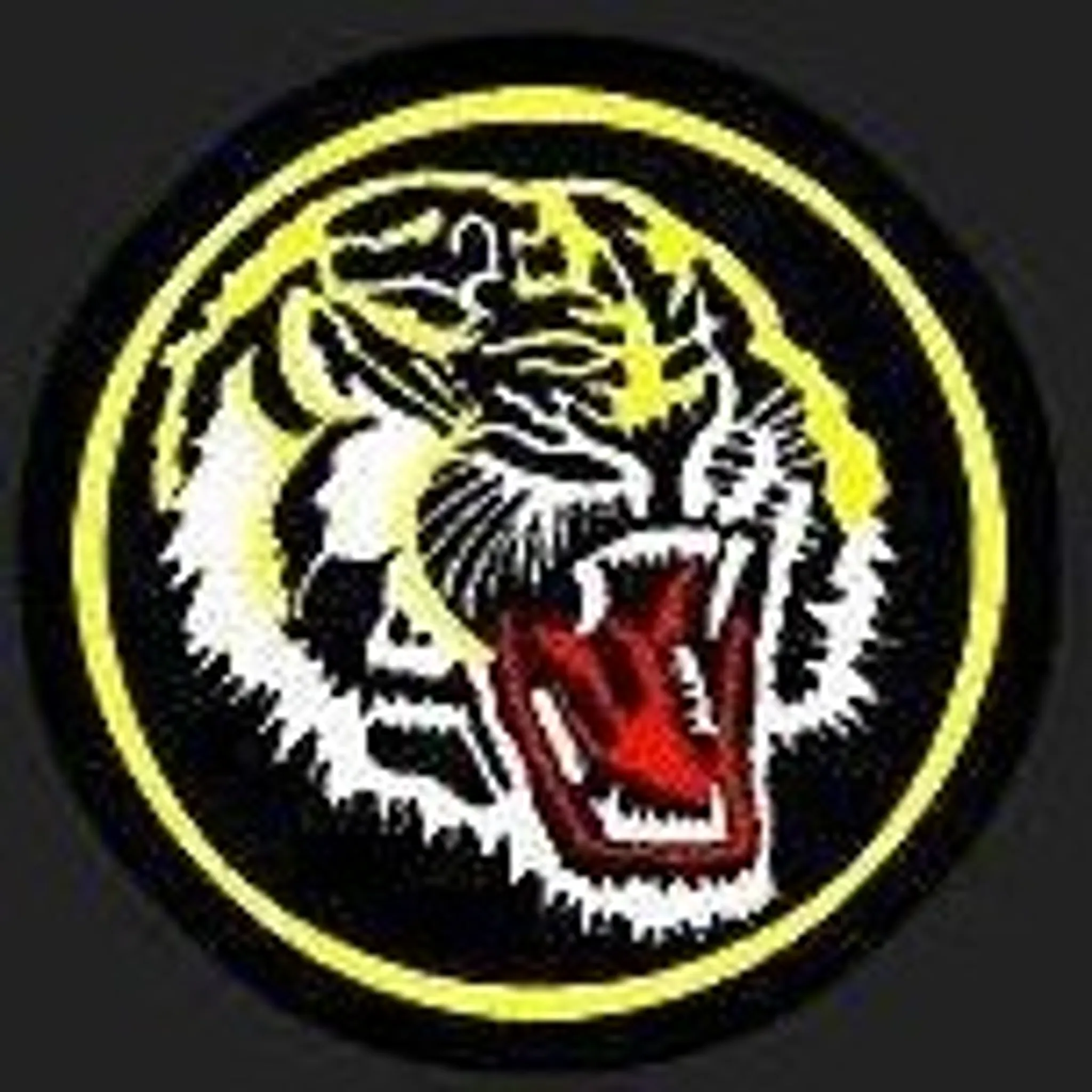 Chang's Taekwondo and Self Defence