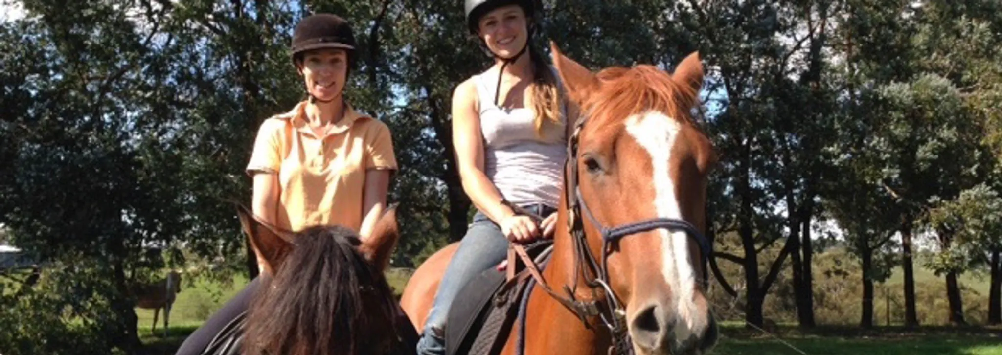 Riding & Horsemanship Lessons