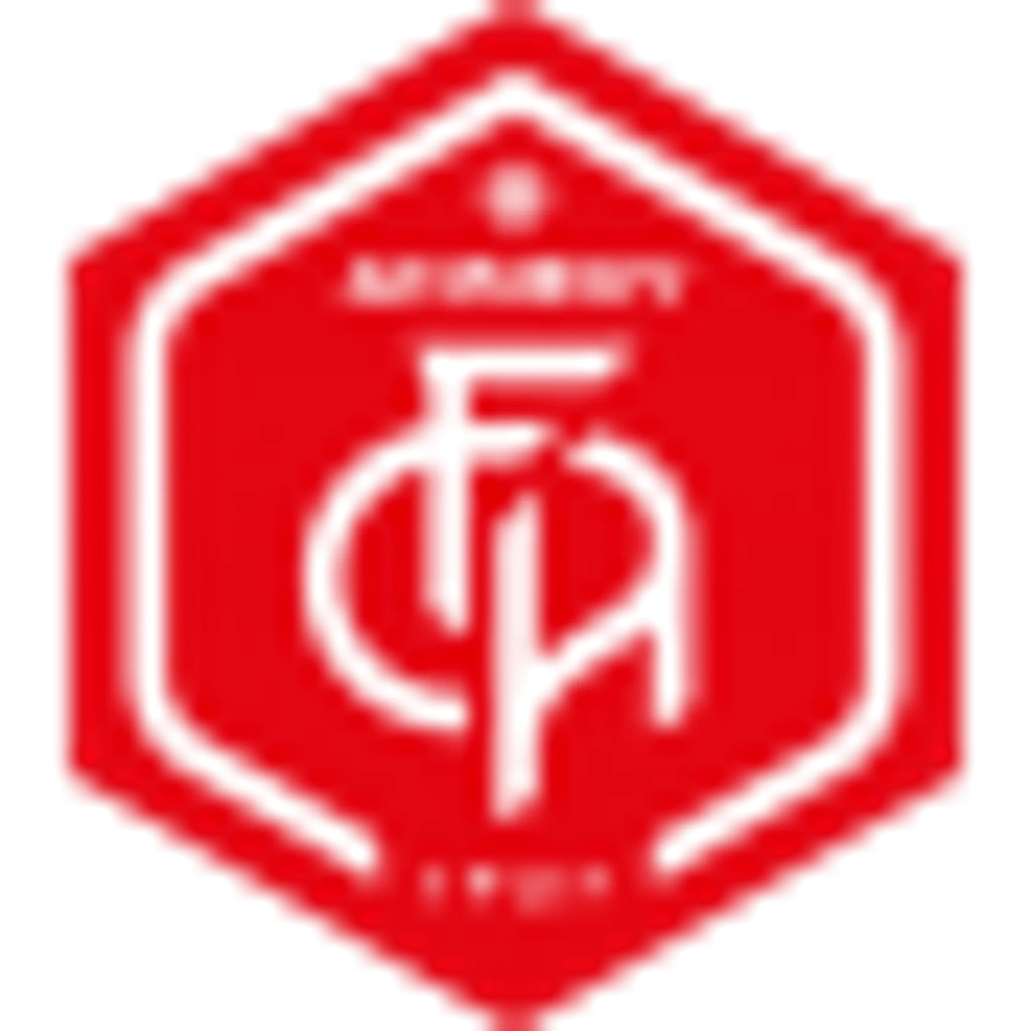 Annecy Football Club Association