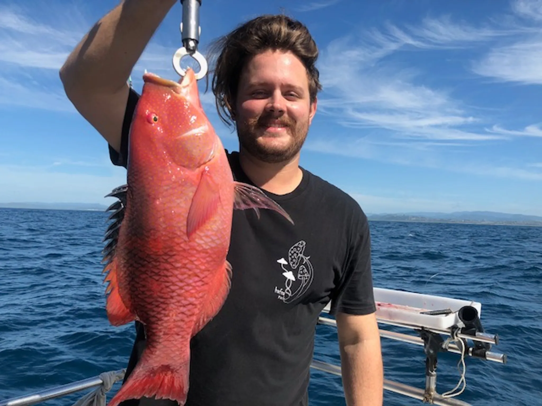 Reef and Game Fishing Charters