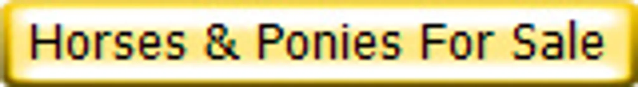 Hill Top Equestrian Centre