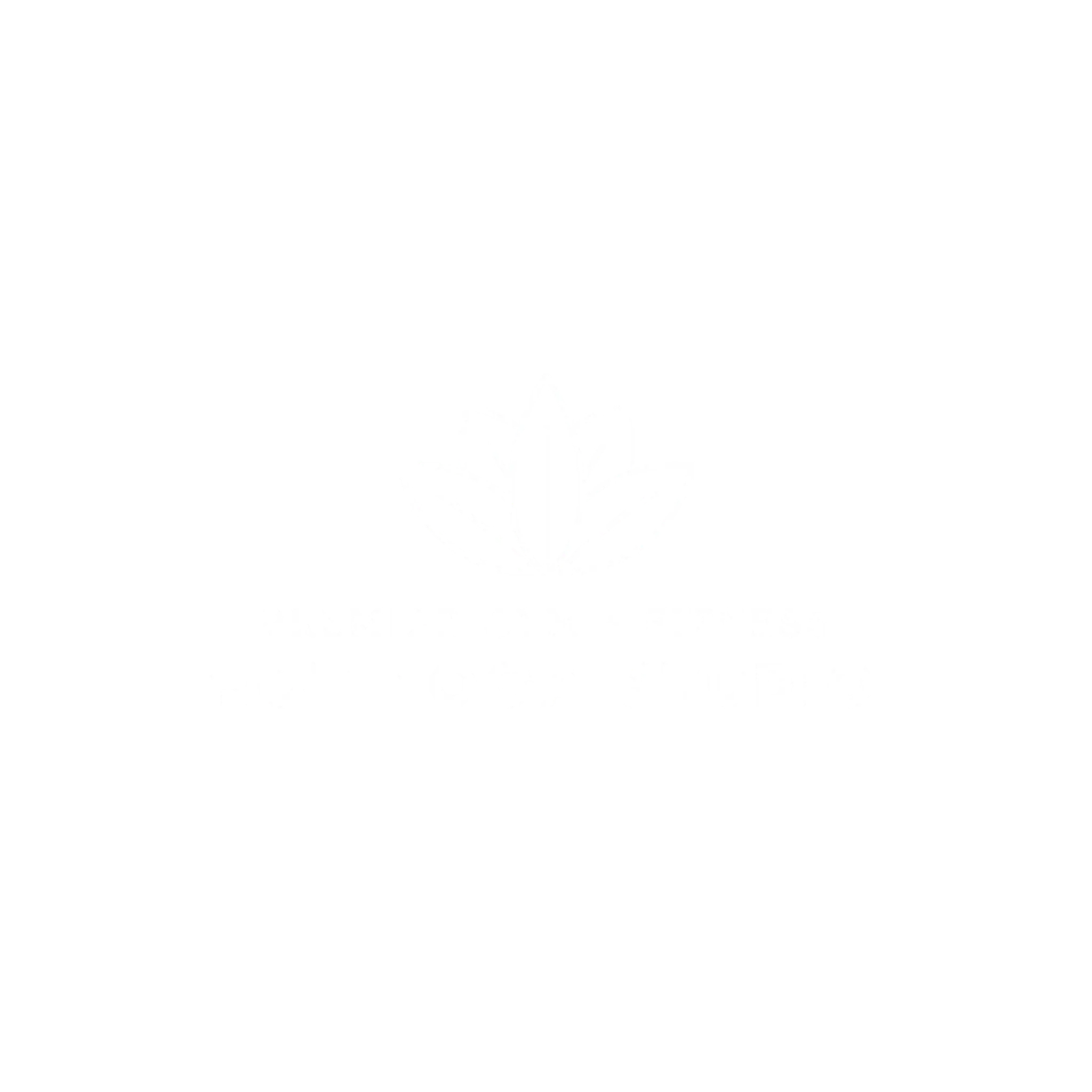 Premier Gym + Fitness