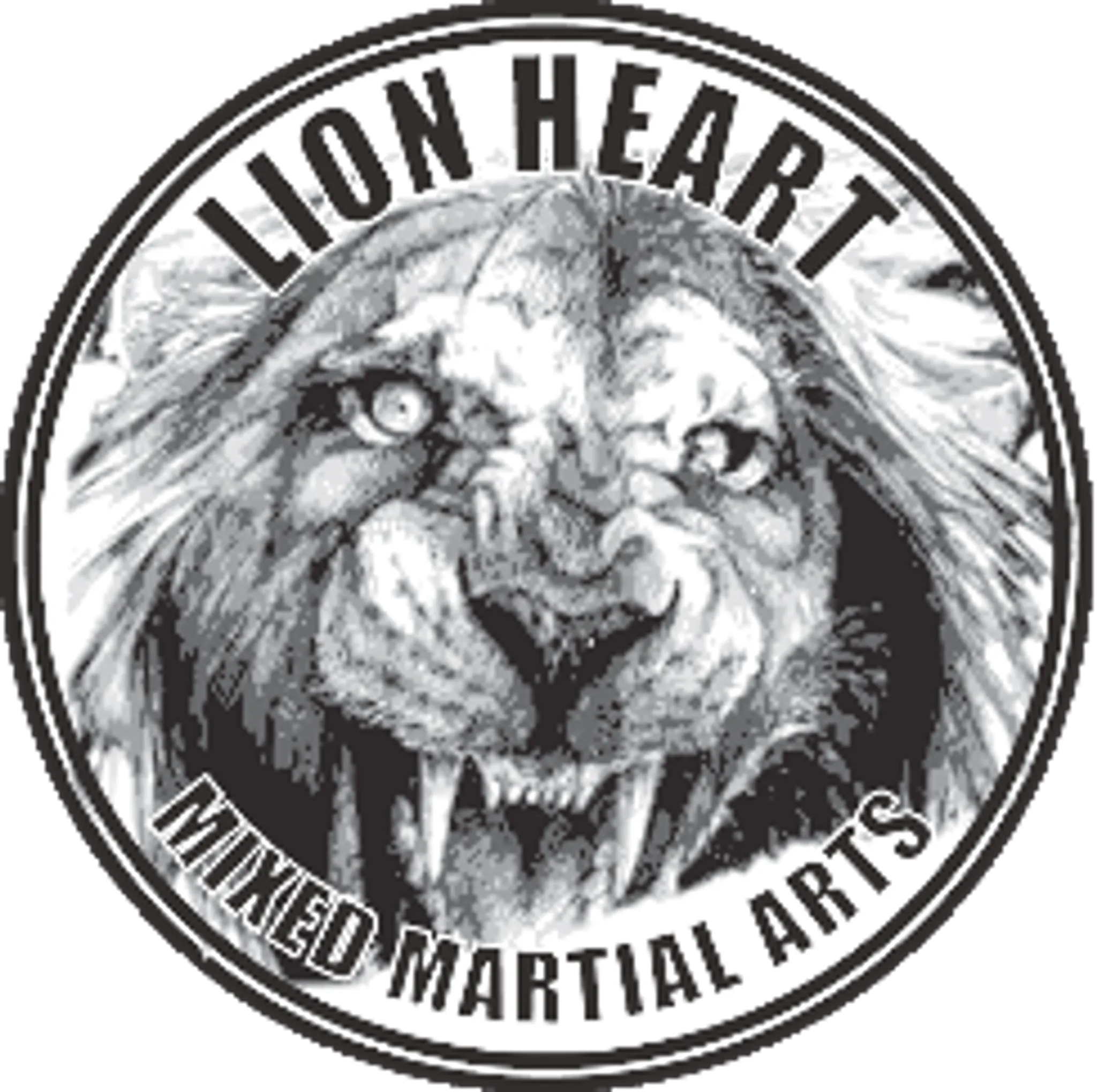 LionHeart Mixed Martial Arts.