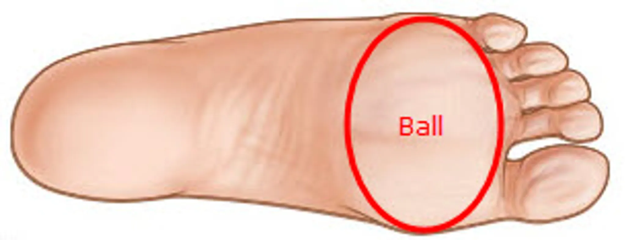 Wu-Chi Martial Arts Miranda