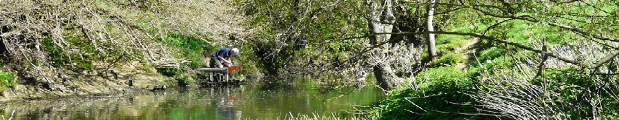 Dorking Angling Society