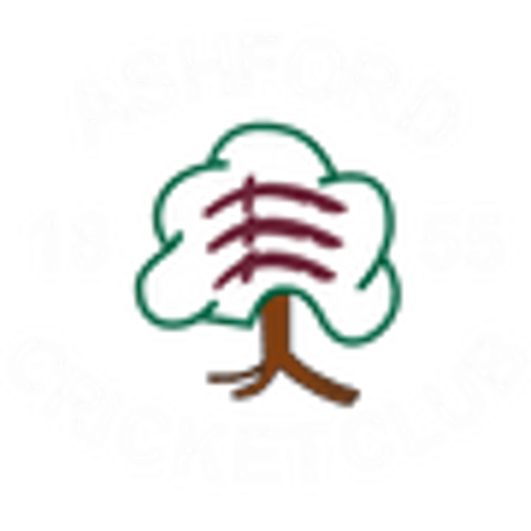 Ashford Cricket Club