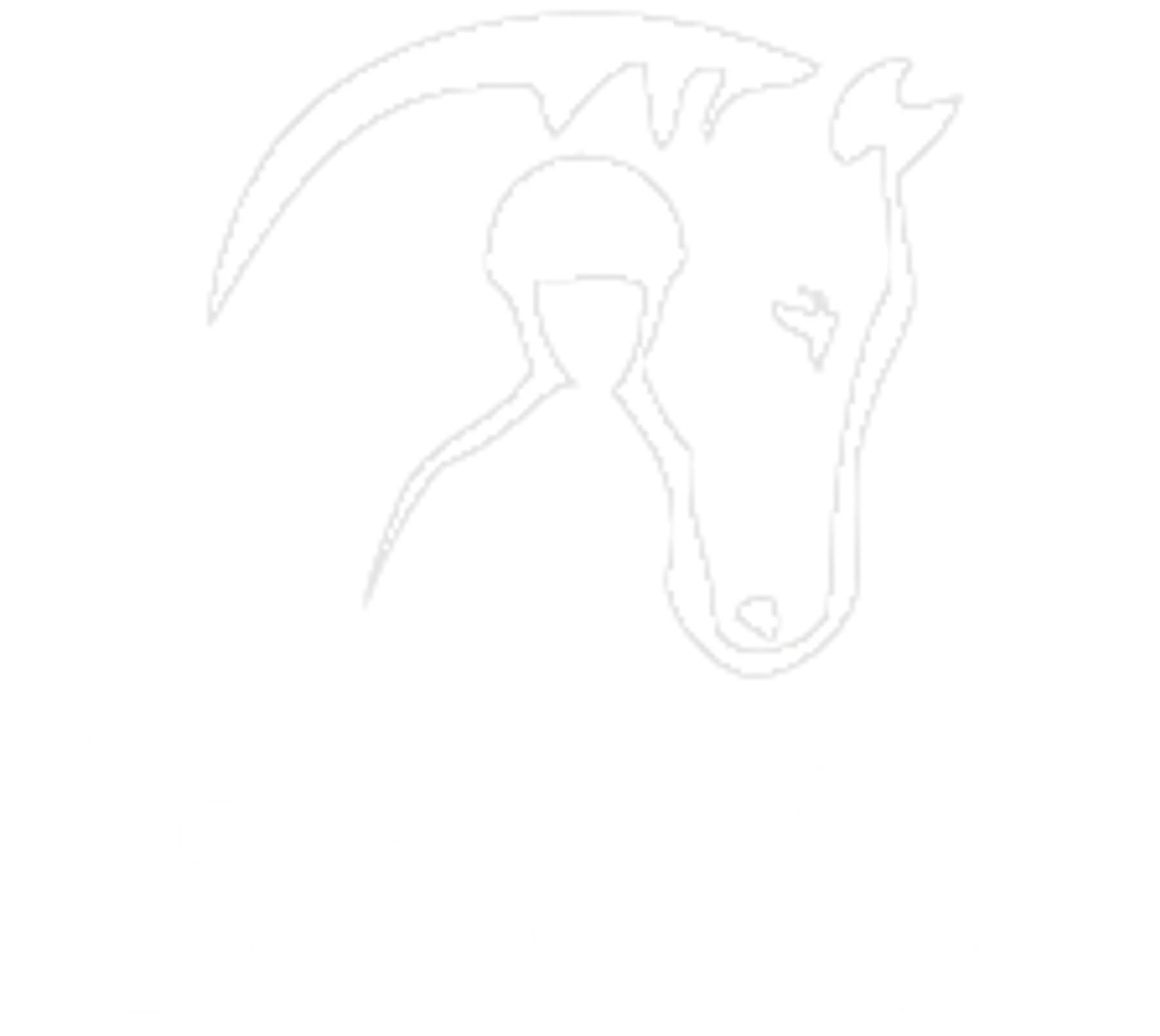 Pause Awhile Equestrian Centre