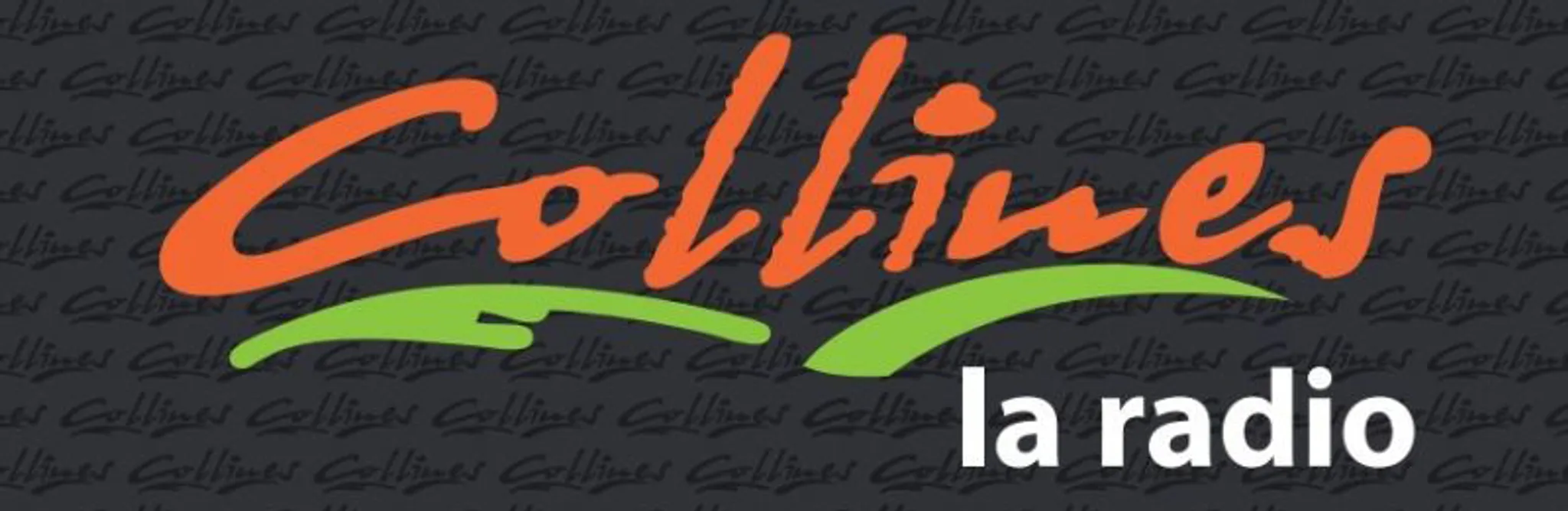 ADVENTURE PARK 79 CHANTEMERLE