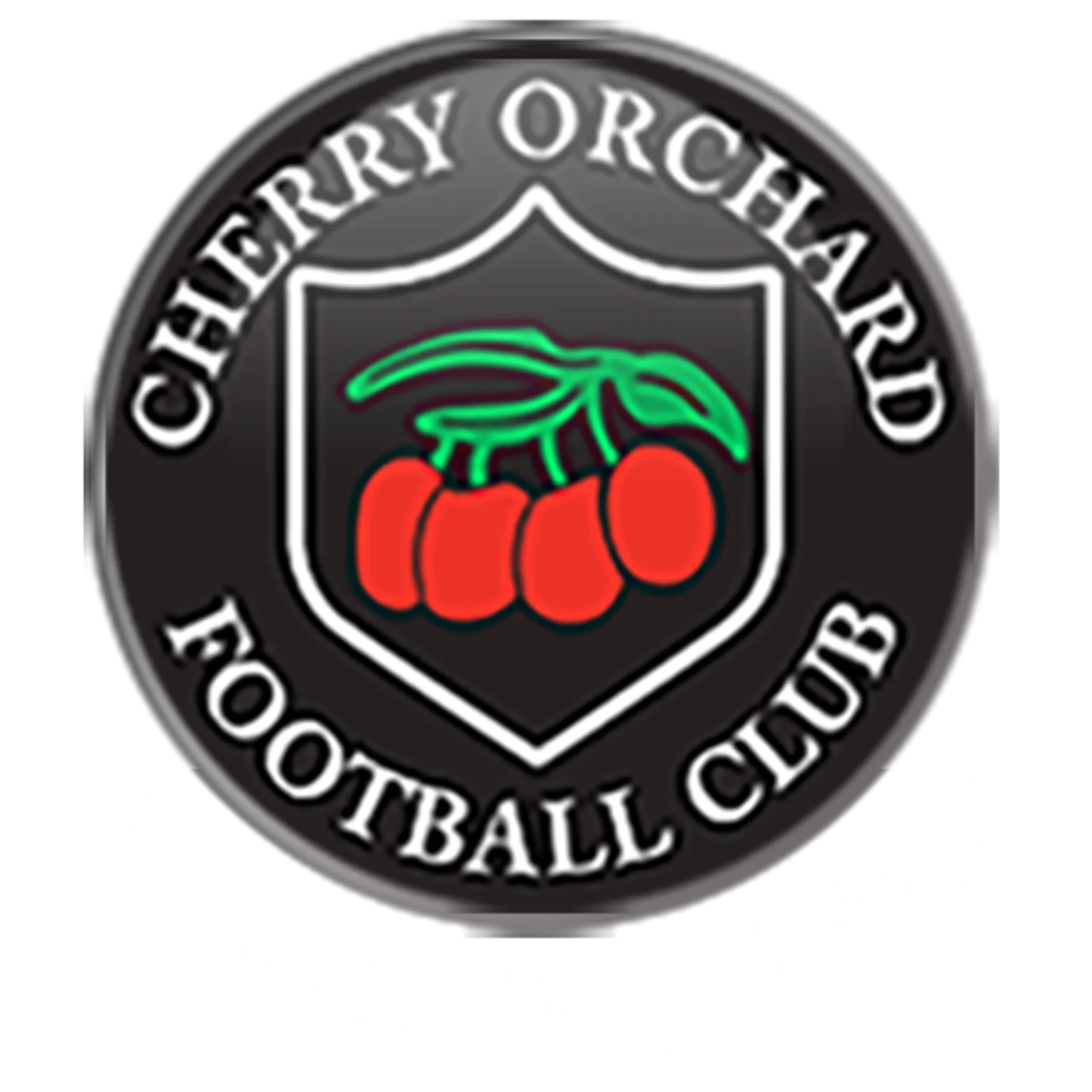 Cherry Orchard Football Club Astro Turf Pitch
