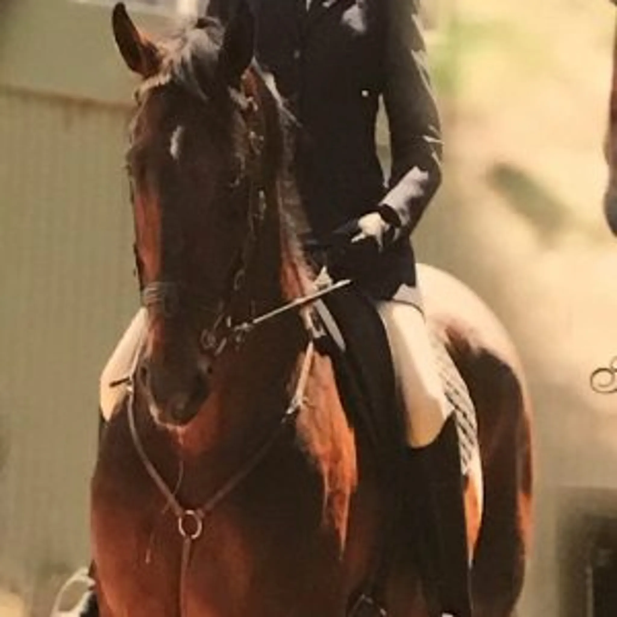 Welkin Way Equestrian Centre