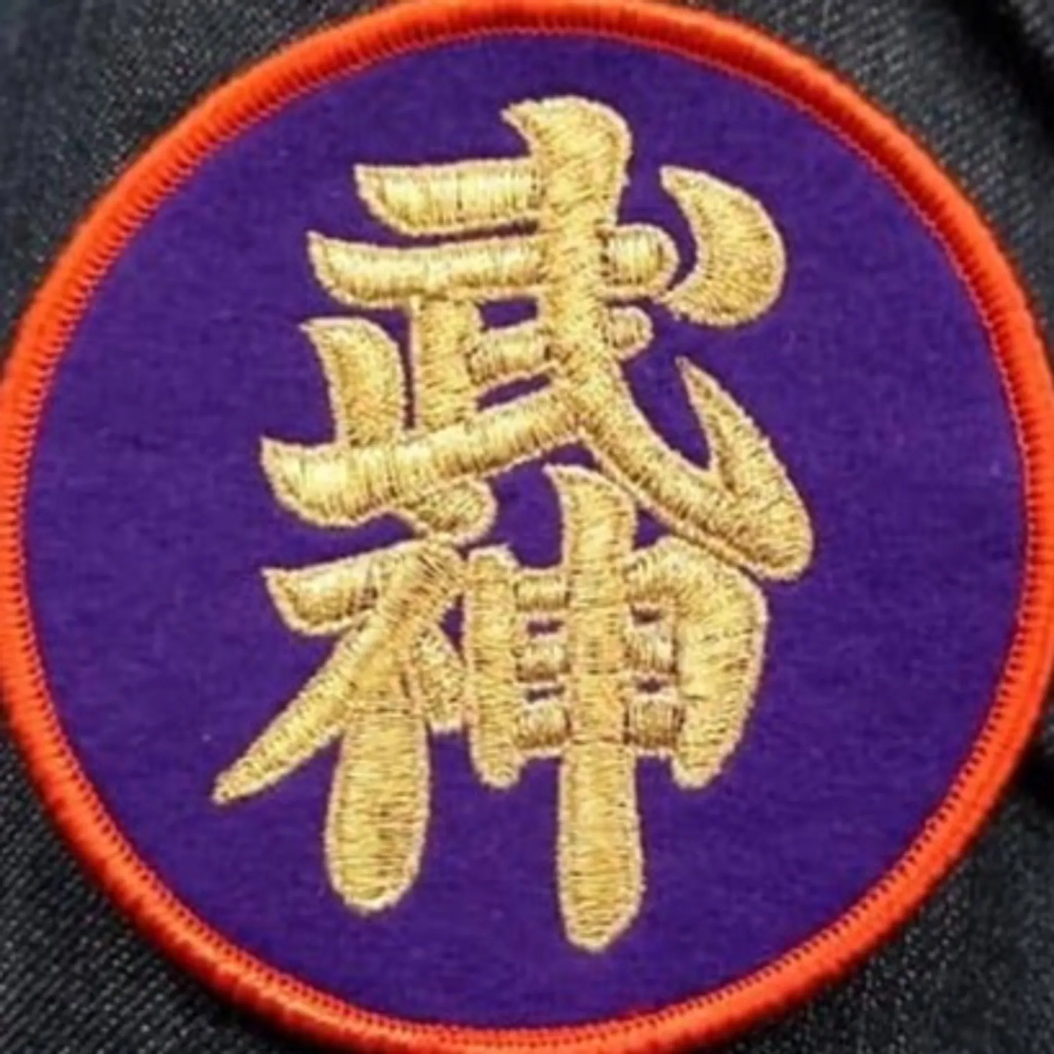 Bujinkan Jissen Dojos 