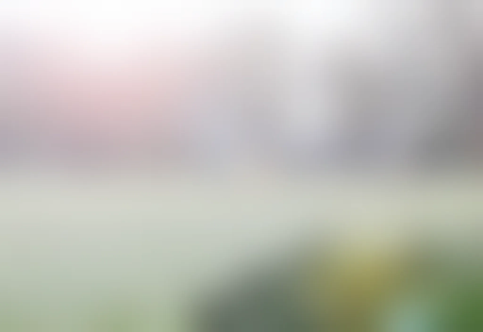 Wu's Tai Chi Chuan Academy