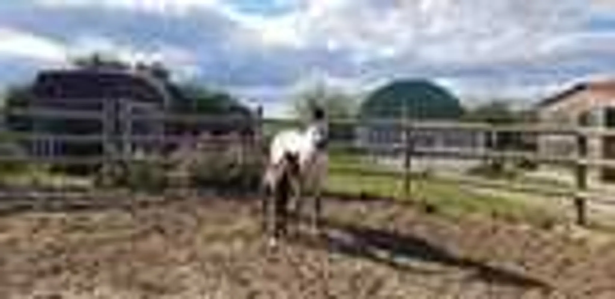 Equestrian Center De Sète