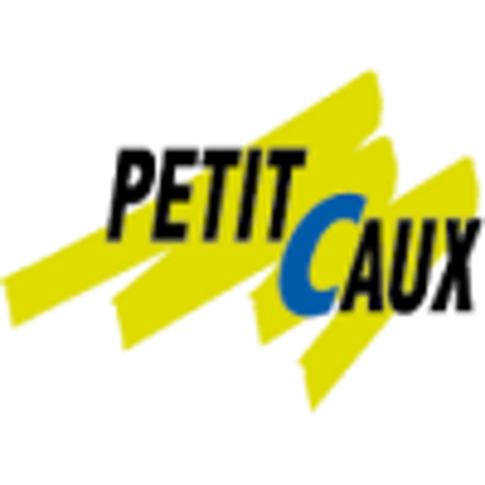 JUDO CLUB PETIT-CAUX