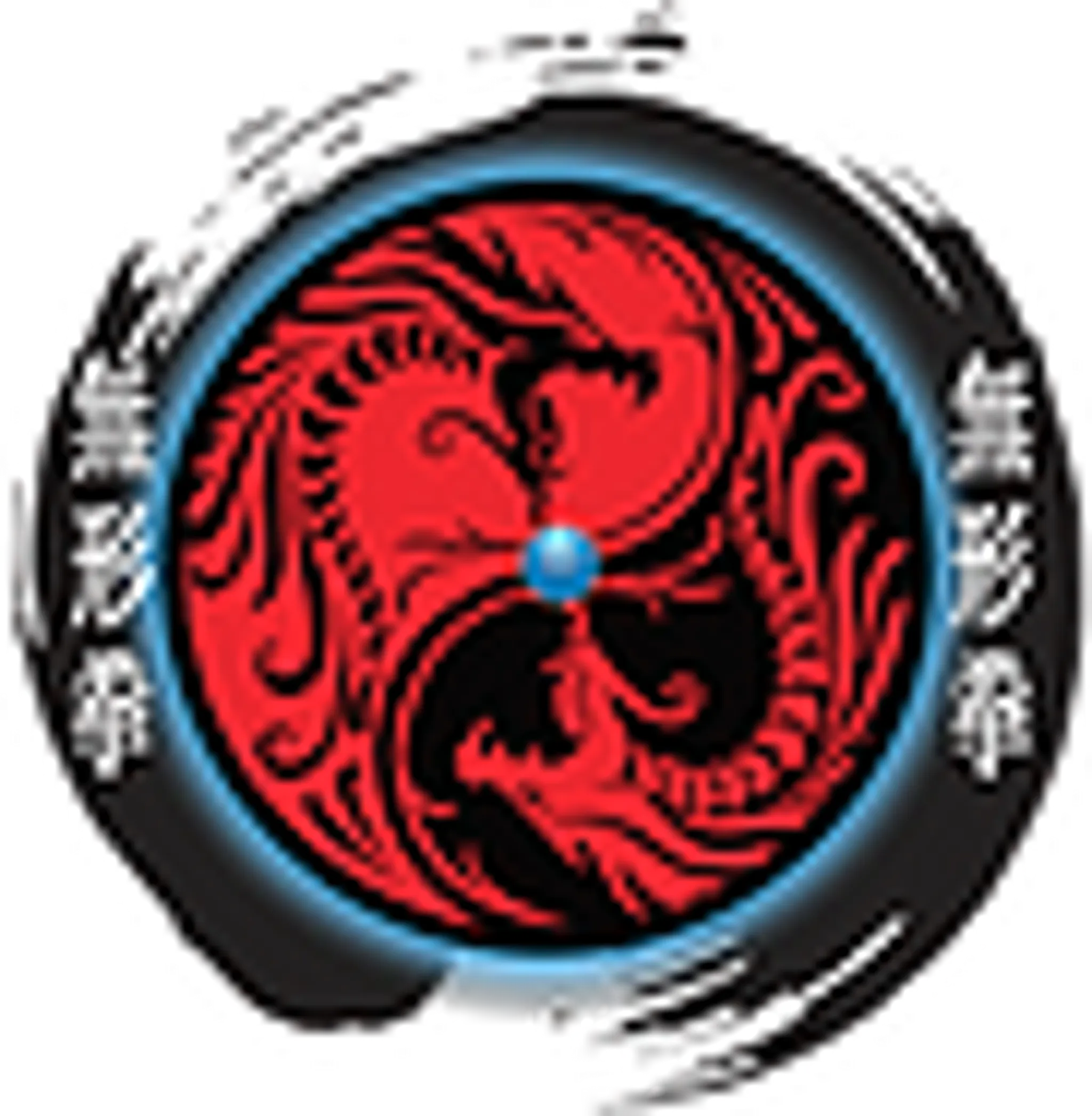 Wu Xing Dao Kung Fu - MMA Central Coast