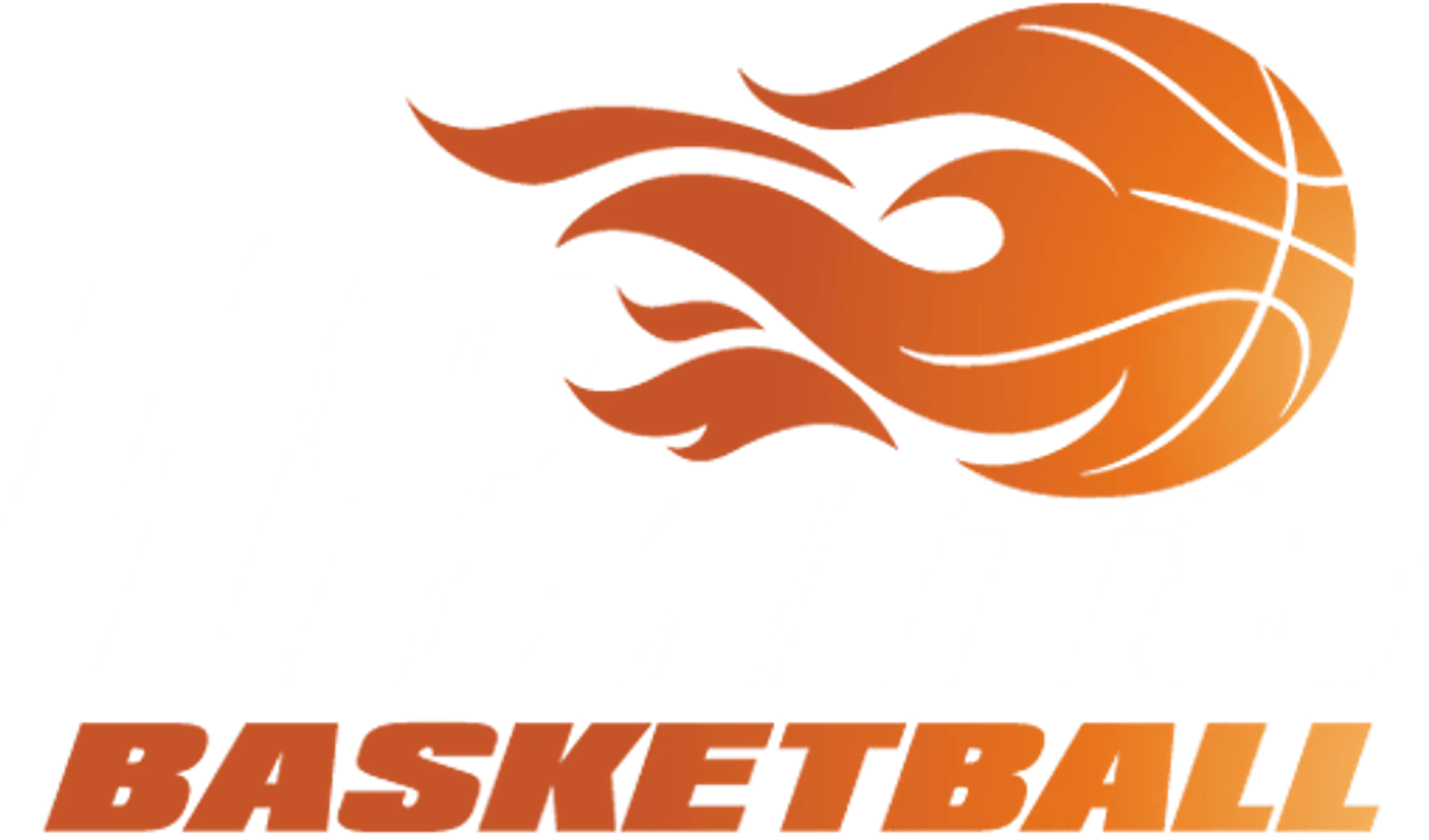 No Limits Basketball - The Academy