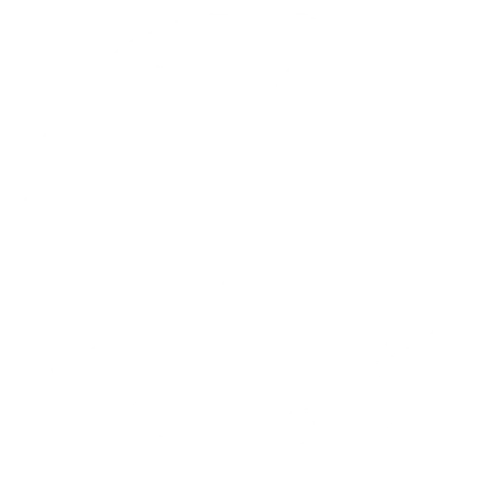 White Crane Fighting Arts - Tai Chi