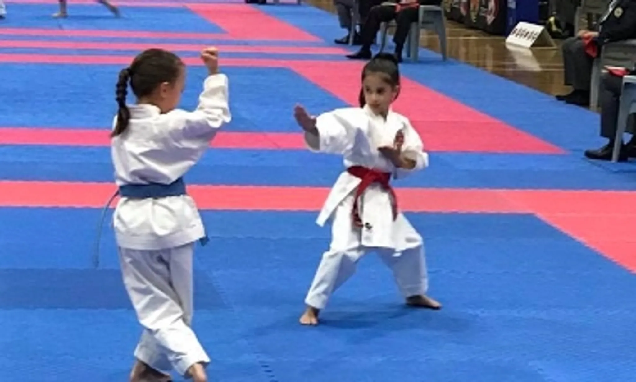 Shindo Karate Williamstown