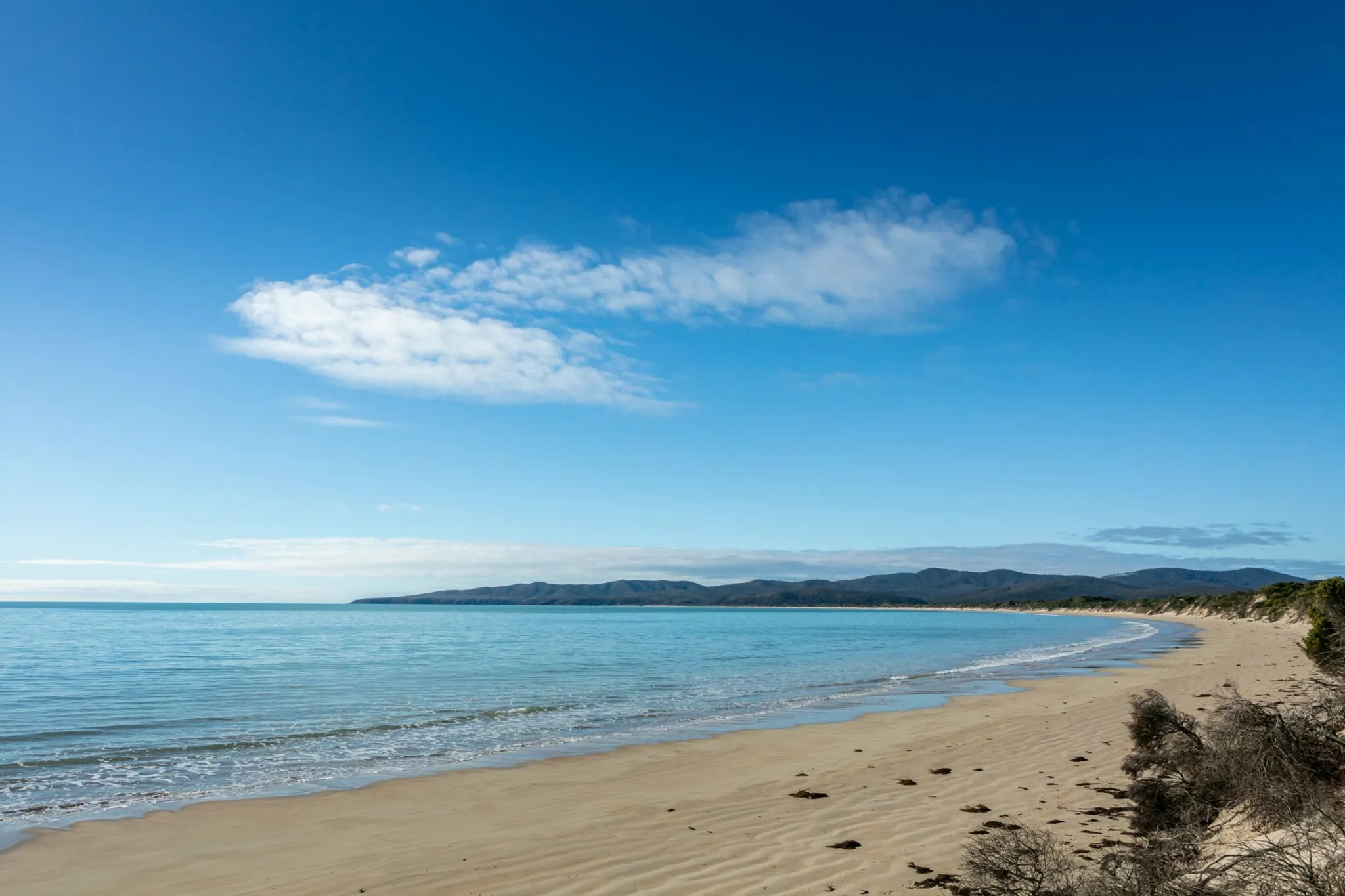 Latrobe Community Shed Inc Coffee & Connect morning
