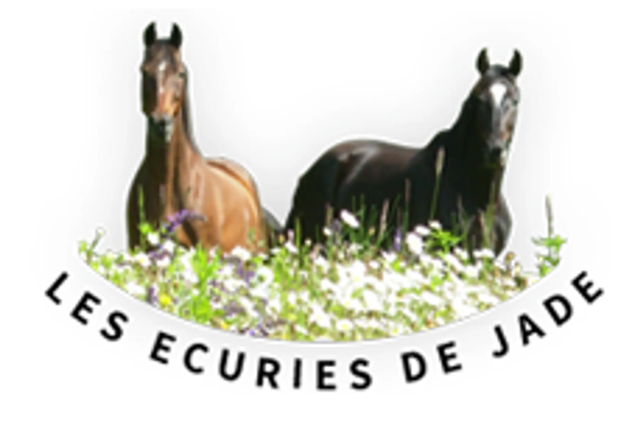 Ecuries de Jade
