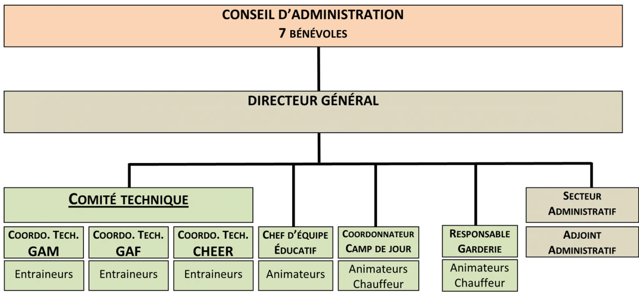 Summer Day Camp 2024: Gymnastics and Cheerleading