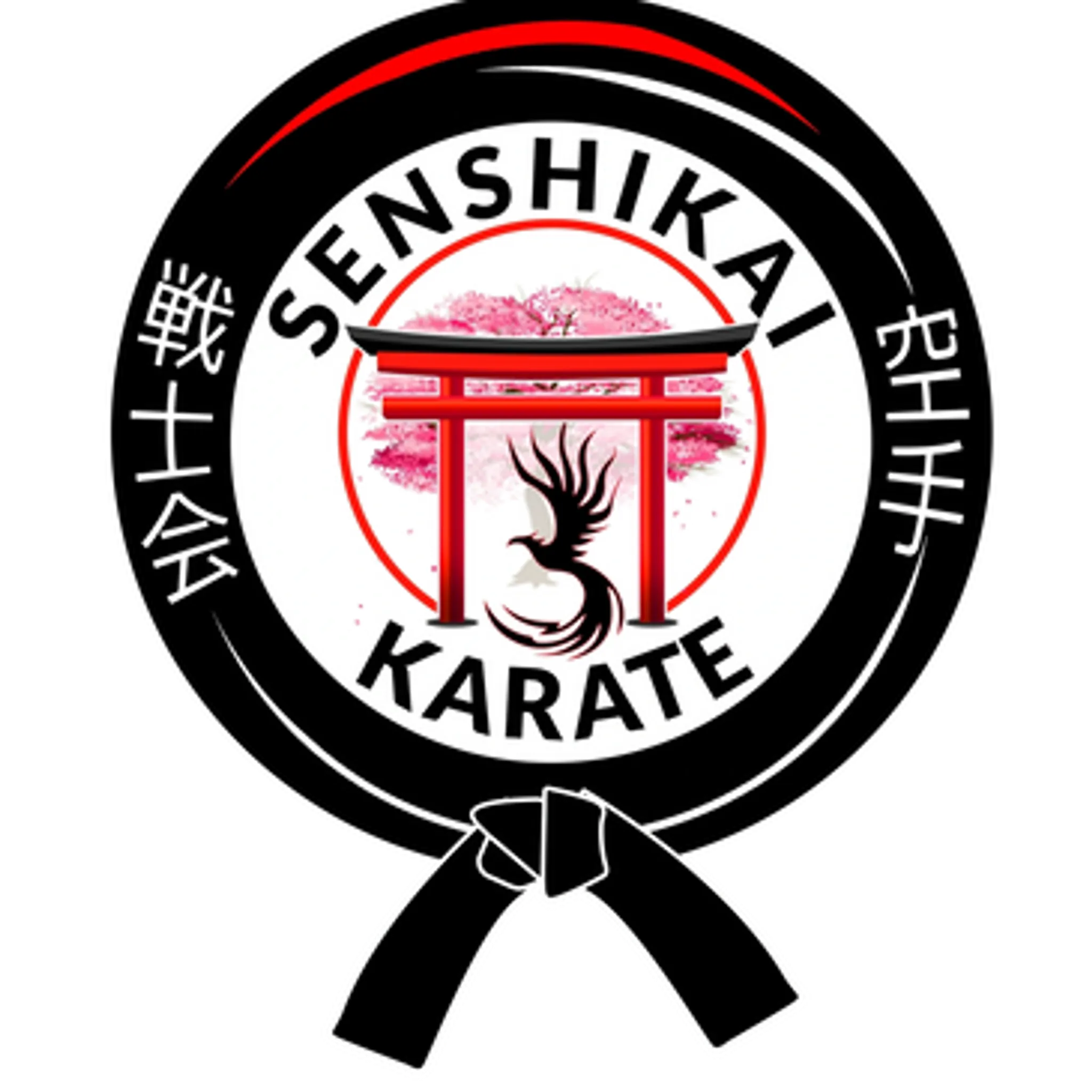 Senshikai Karate Club - Bath
