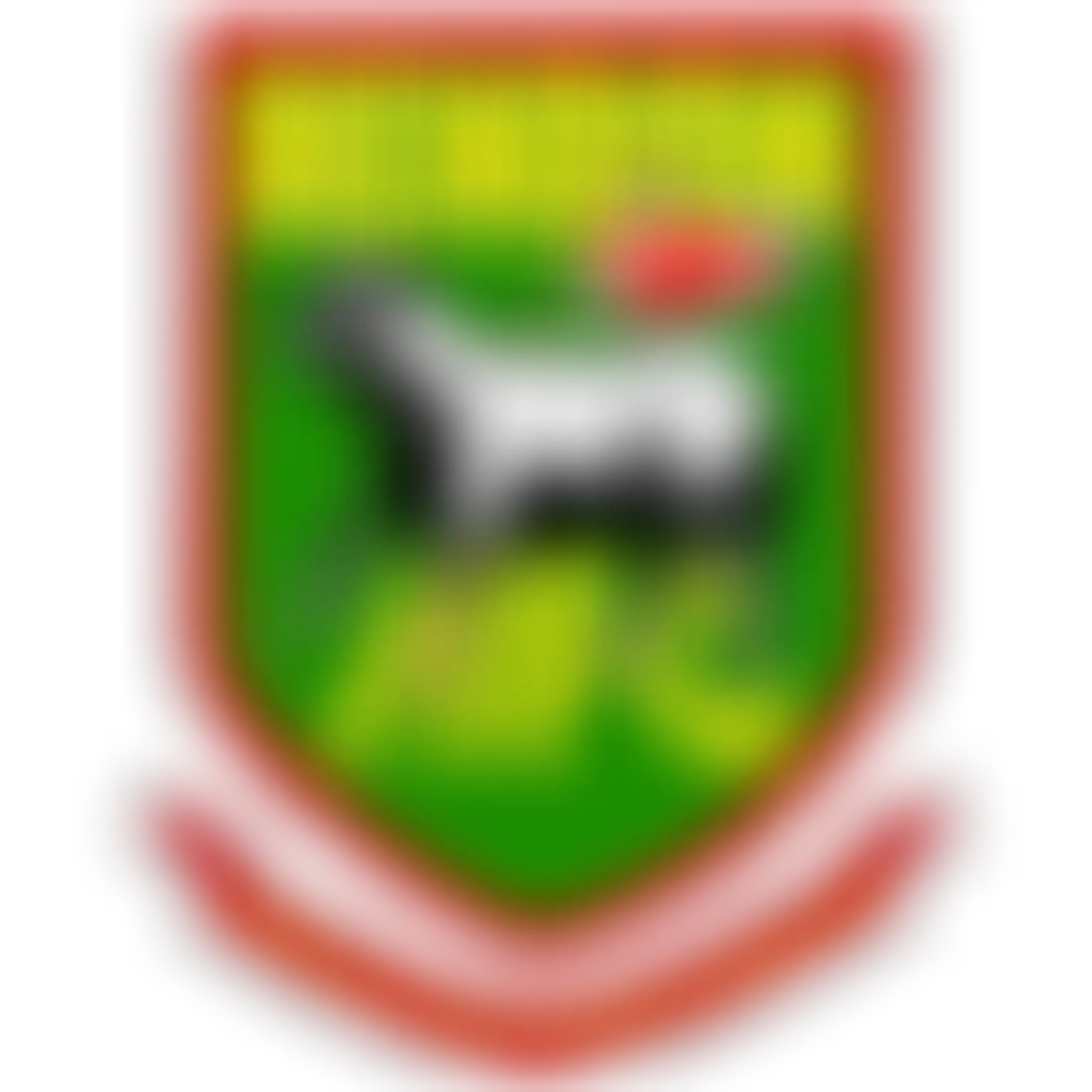 Wealdstone Football Club