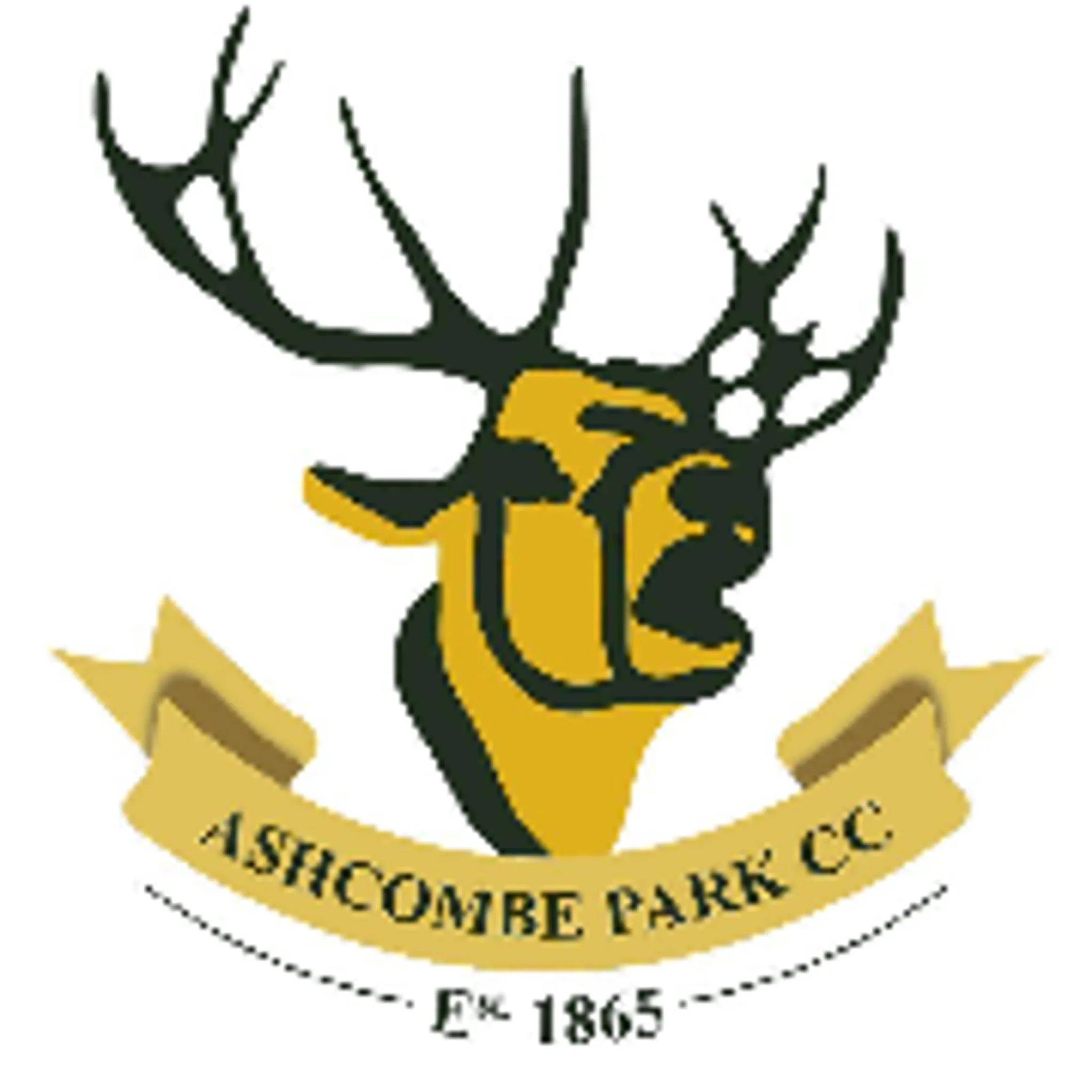 Ashcombe Park Cricket Club