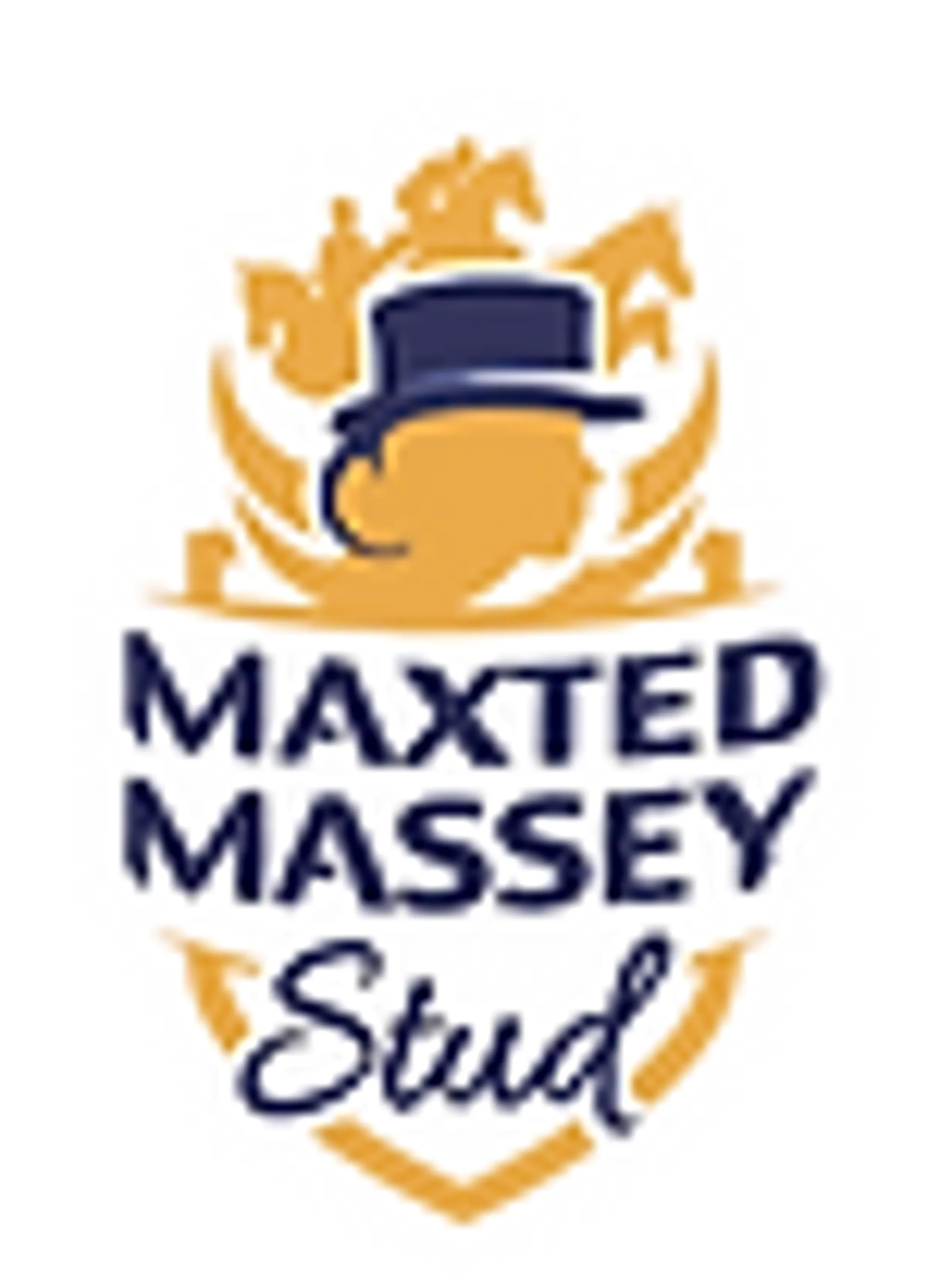 Maxted Massey Stud and Livery Stables