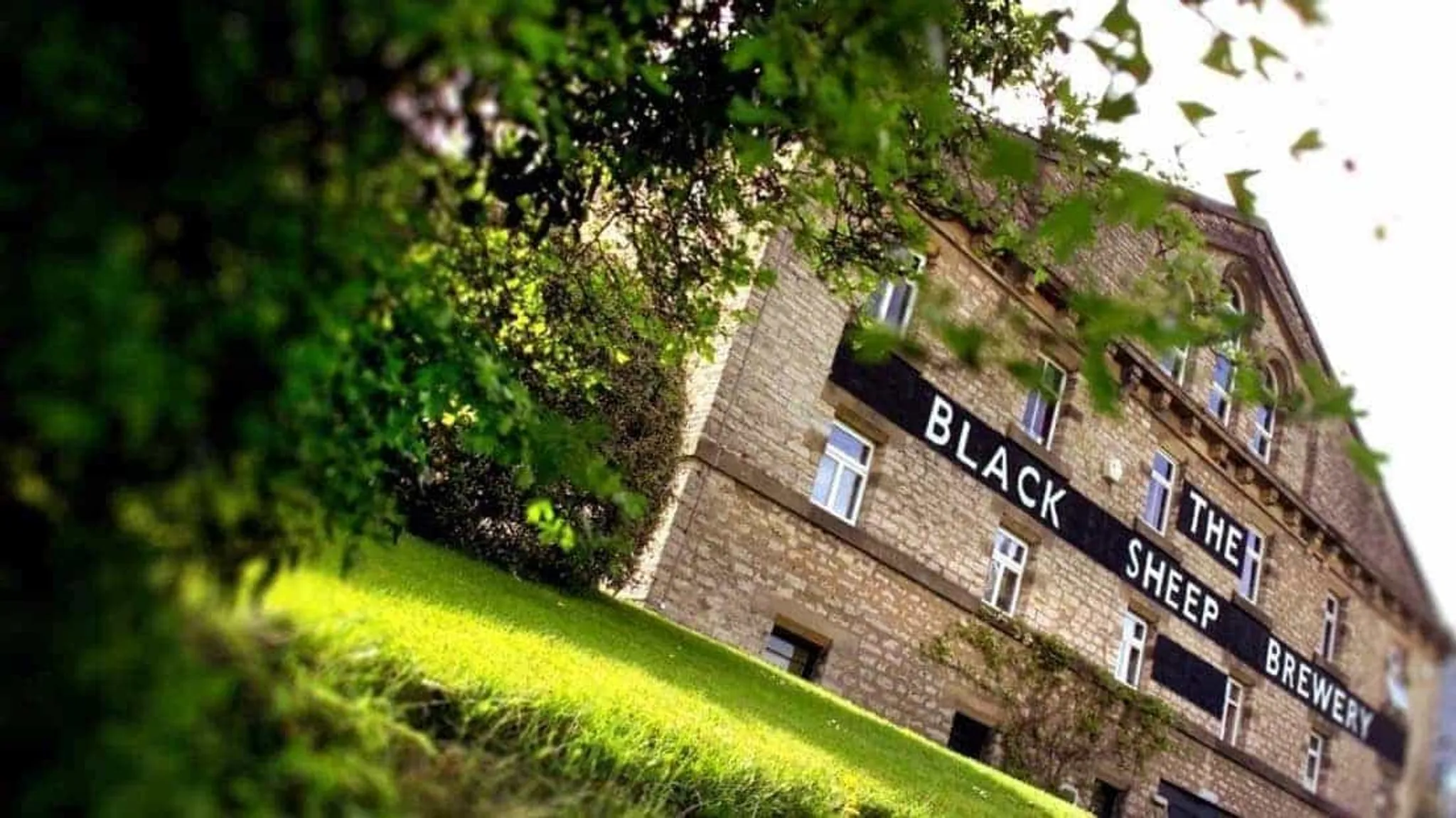 Yorkshire Sports Day