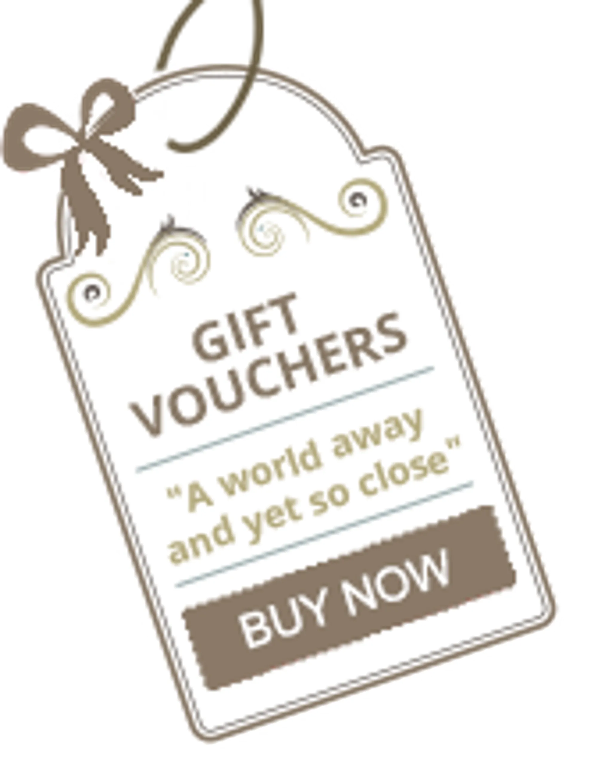 Summer Outdoor Basketball Tournament